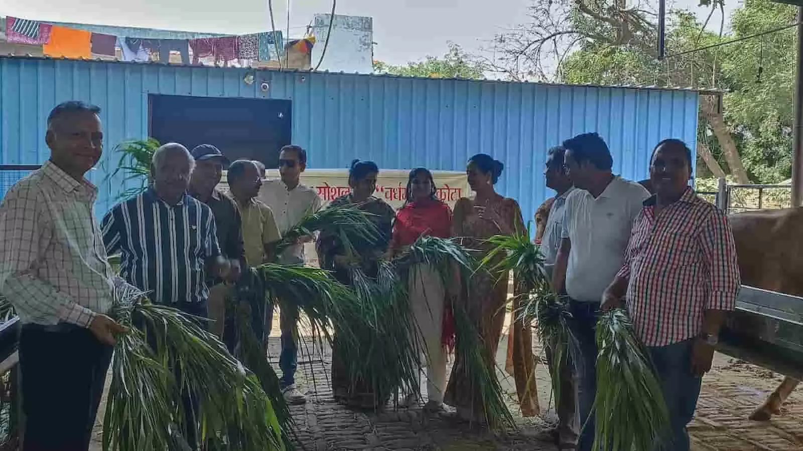 कोटा की गौशाला में दिगंबर जैन सोशल ग्रुप के सदस्य गायों को हरा चारा खिला रहे हैं। कोटा की गौशाला में दिगंबर जैन सोशल ग्रुप के सदस्य गायों को हरा चारा खिला रहे हैं।