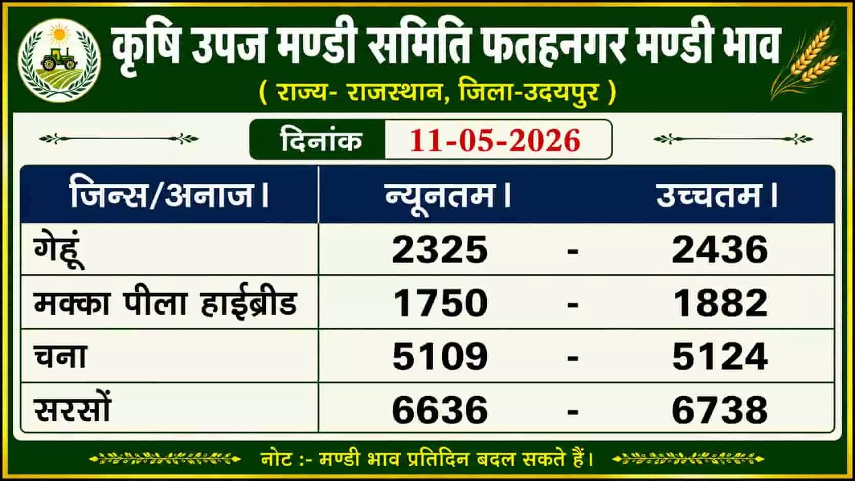 उदयपुर की फतहनगर मंडी में ढेर लगी गेहूं और सरसों की फसलें और नीलामी करते व्यापारी। उदयपुर की फतहनगर मंडी में ढेर लगी गेहूं और सरसों की फसलें और नीलामी करते व्यापारी।