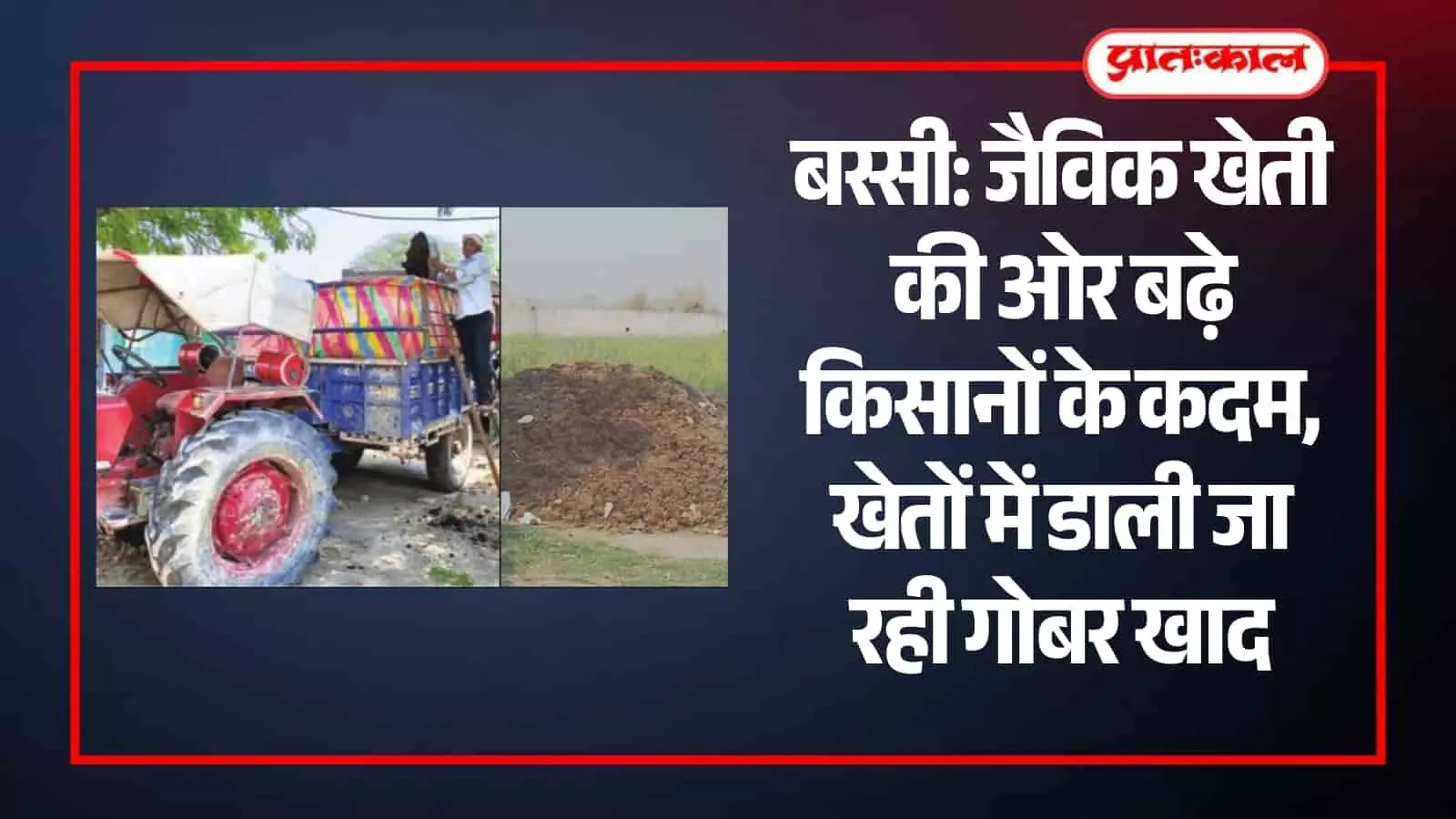 बस्सी के कृषि क्षेत्र में ट्रैक्टर ट्रॉली से देशी गोबर की खाद डालते हुए किसान। बस्सी के कृषि क्षेत्र में ट्रैक्टर ट्रॉली से देशी गोबर की खाद डालते हुए किसान।