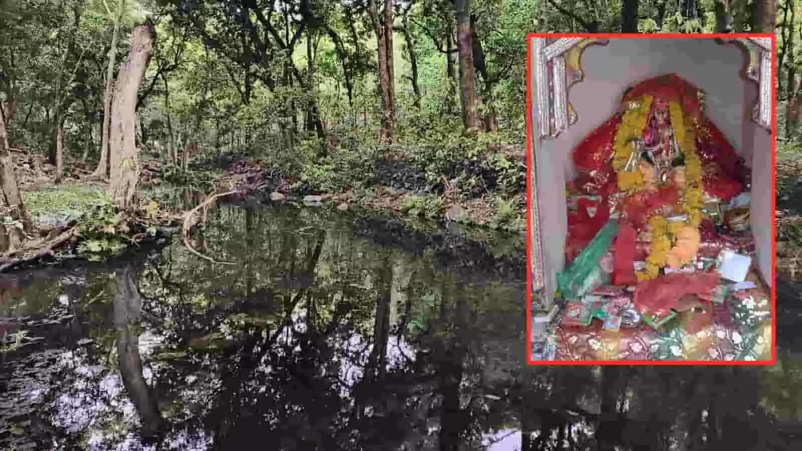 सीतामाता वन्यजीव अभयारण्य के जंगल में स्थित प्राकृतिक जलधारा और माता सीता की प्रतिमा वाली छोटी गुफा। सीतामाता वन्यजीव अभयारण्य के जंगल में स्थित प्राकृतिक जलधारा और माता सीता की प्रतिमा वाली छोटी गुफा।