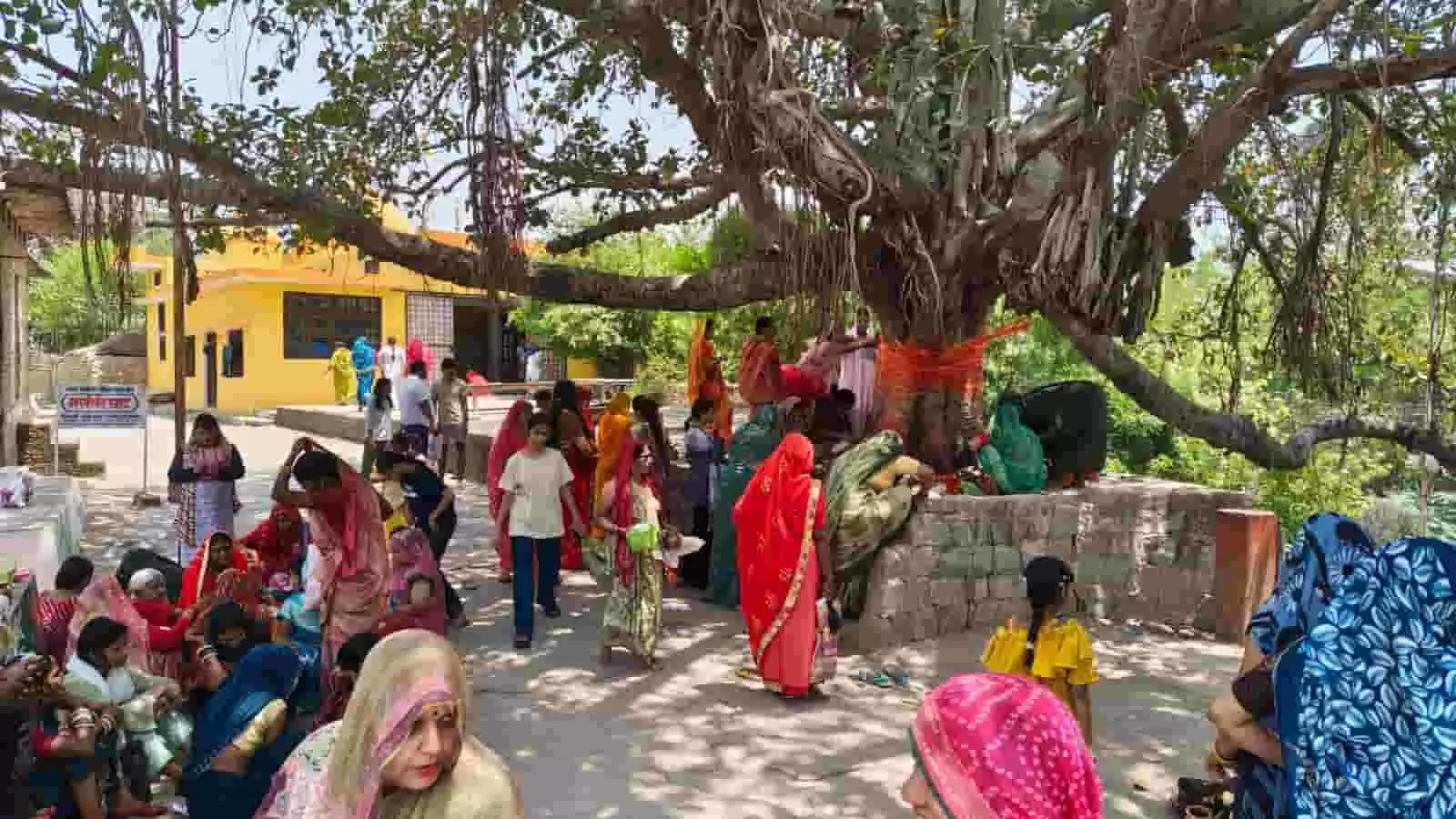 गुरसरांय में वट वृक्ष के नीचे पूजा और परिक्रमा करतीं पारंपरिक परिधान में महिलाएं। गुरसरांय में वट वृक्ष के नीचे पूजा और परिक्रमा करतीं पारंपरिक परिधान में महिलाएं।