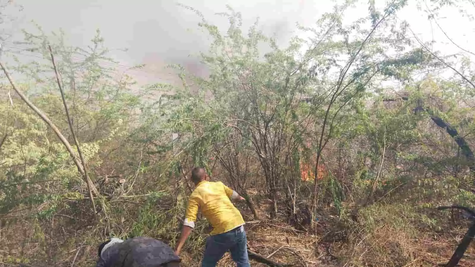 फतेहनगर में गौशाला के पास खेतों में लगी आग को बुझाते स्थानीय ग्रामीण पुरुष फतेहनगर में गौशाला के पास खेतों में लगी आग को बुझाते स्थानीय ग्रामीण पुरुष