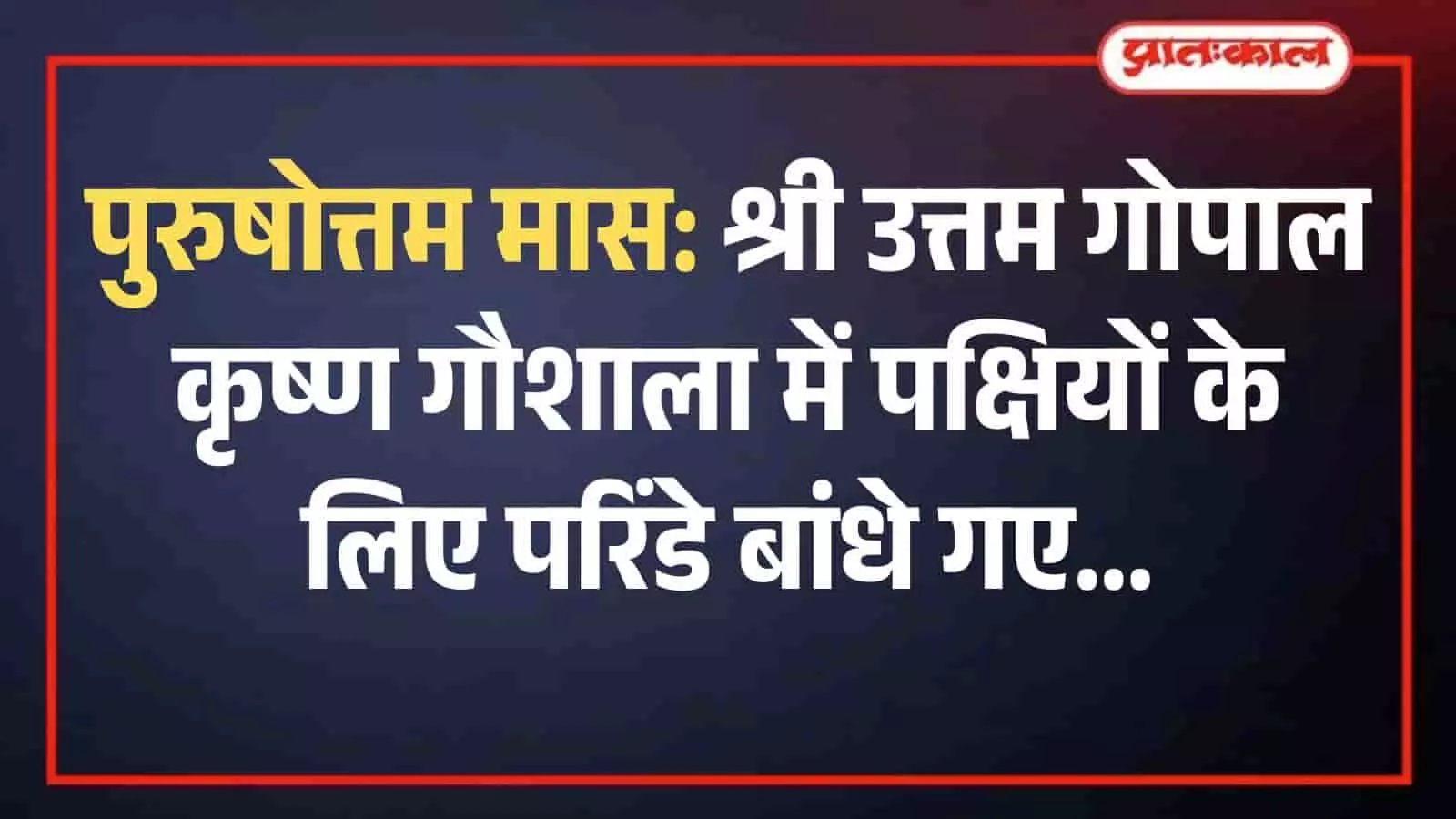 श्री श्री उत्तम गोपाल कृष्ण गौशाला परिसर में पक्षियों के लिए पेड़ पर बांधा गया पानी का परिंडा। श्री श्री उत्तम गोपाल कृष्ण गौशाला परिसर में पक्षियों के लिए पेड़ पर बांधा गया पानी का परिंडा।