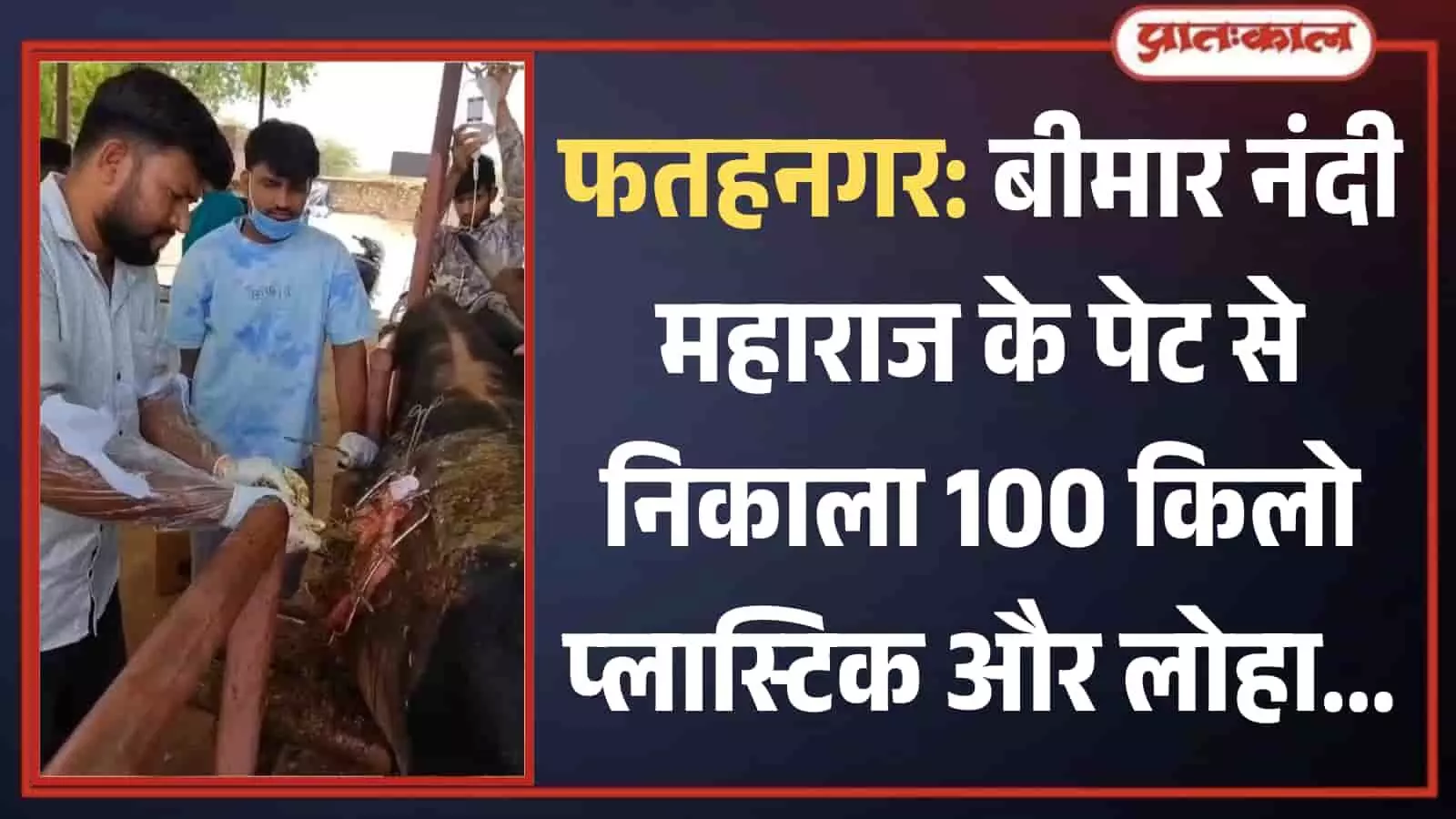 फतहनगर में डॉक्टरों की टीम मेडिकल उपकरणों के साथ घायल नंदी महाराज का पेट से प्लास्टिक निकालने के लिए ऑपरेशन कर रही है। फतहनगर में डॉक्टरों की टीम मेडिकल उपकरणों के साथ घायल नंदी महाराज का पेट से प्लास्टिक निकालने के लिए ऑपरेशन कर रही है।