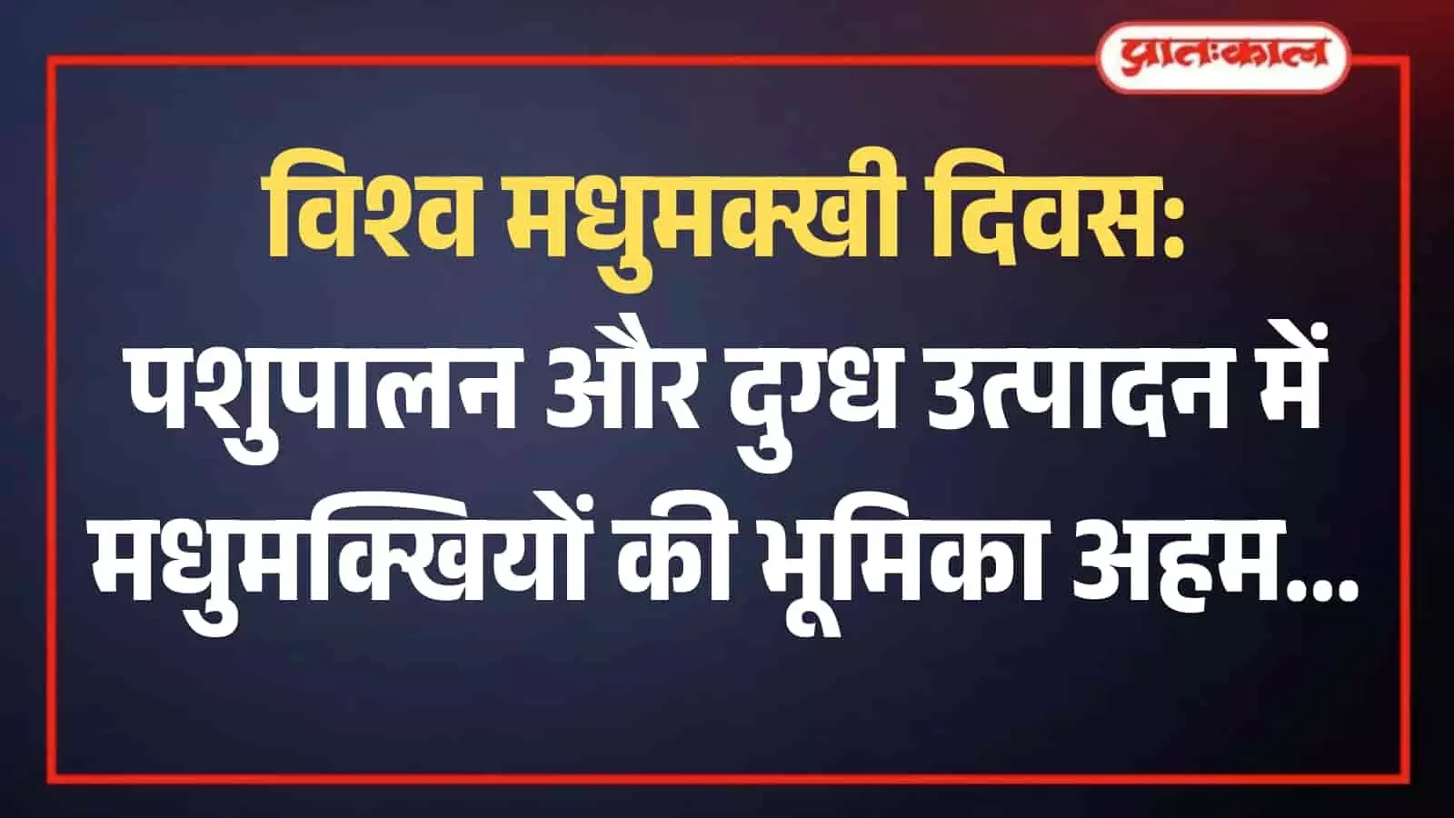 खेत में उगी लुसर्न चारे की फसल पर परागण करती हुई मधुमक्खियां दिखाई दे रही हैं।