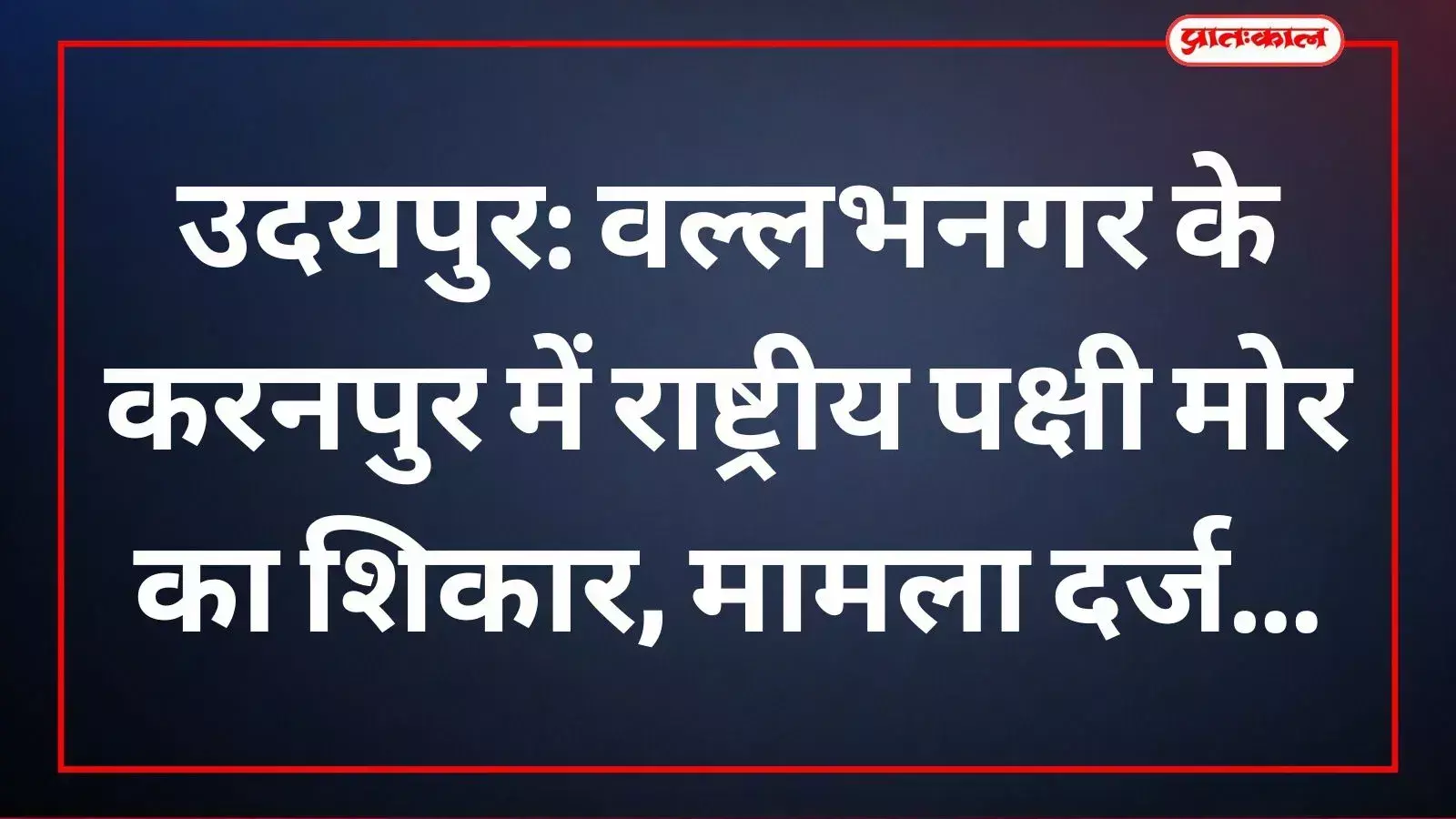 वल्लभनगर पशु चिकित्सालय में वन विभाग के अधिकारी मृत मोर का पोस्टमॉर्टम करते हुए। वल्लभनगर पशु चिकित्सालय में वन विभाग के अधिकारी मृत मोर का पोस्टमॉर्टम करते हुए।