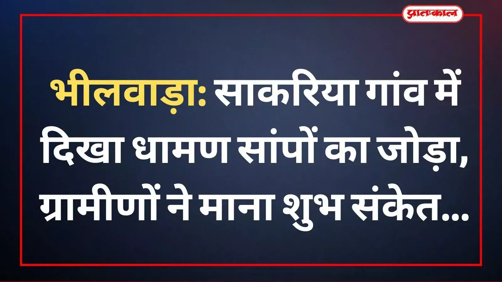 साकरिया गांव के खेतों में दिखाई देते धामण सांपों के जोड़े की दुर्लभ तस्वीर।