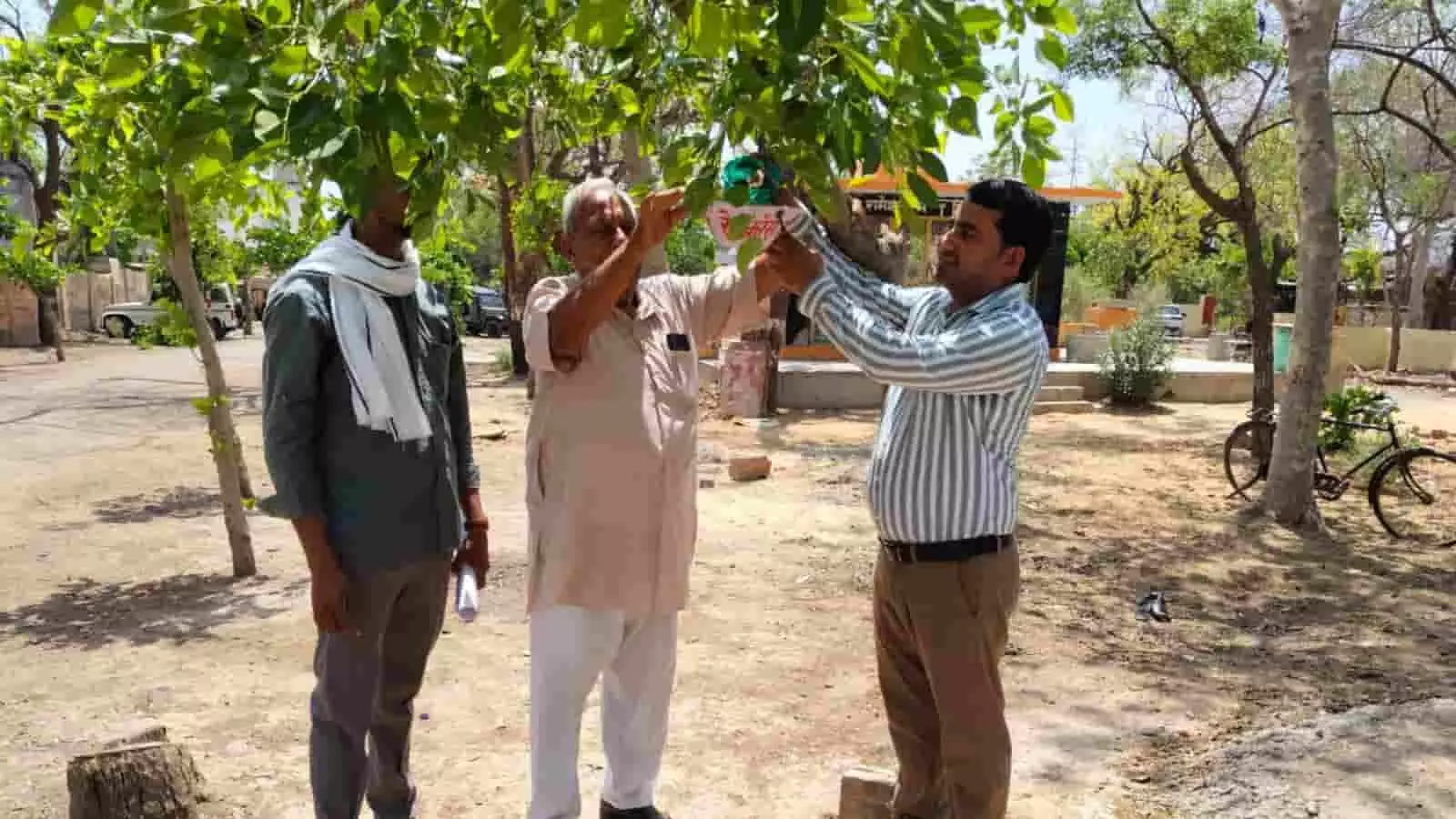 हिंडौन सिटी में पेड़ पर पक्षियों के लिए पानी का परिंडा बांधते हुए पुरुष हिंडौन सिटी में पेड़ पर पक्षियों के लिए पानी का परिंडा बांधते हुए पुरुष