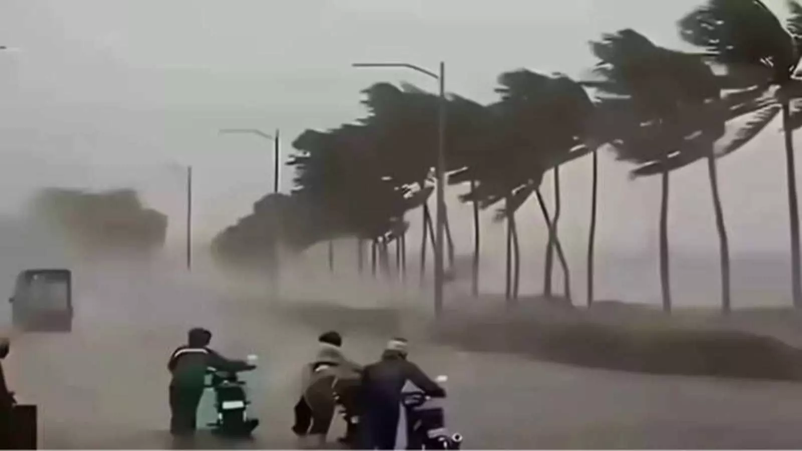 तेज चक्रवाती हवाओं के कारण सड़क किनारे लगे ऊंचे पेड़ एक तरफ झुकते हुए दिखाई दे रहे हैं। तेज चक्रवाती हवाओं के कारण सड़क किनारे लगे ऊंचे पेड़ एक तरफ झुकते हुए दिखाई दे रहे हैं।