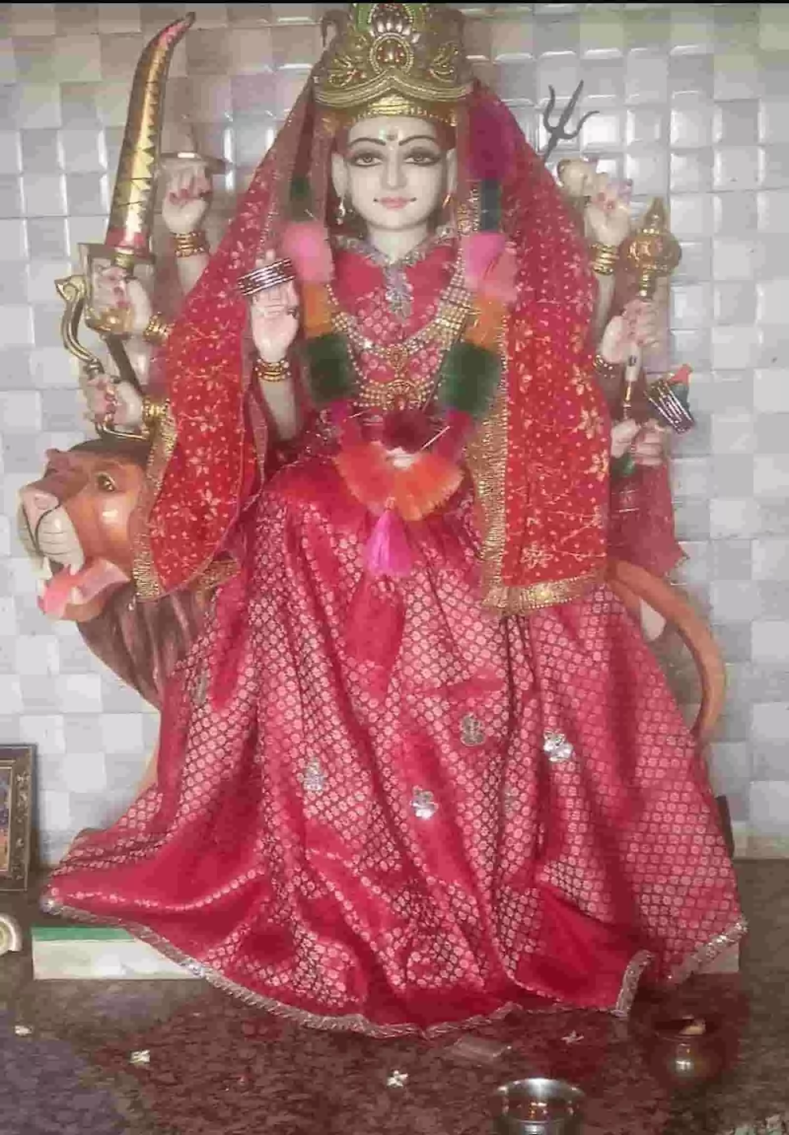 भुसावर के कुण्डा जलाशय के पास मंदिर में शेर पर सवार लाल पोशाक पहने मां नगरकोट माता की मूर्ति दिख रही है। भुसावर के कुण्डा जलाशय के पास मंदिर में शेर पर सवार लाल पोशाक पहने मां नगरकोट माता की मूर्ति दिख रही है।