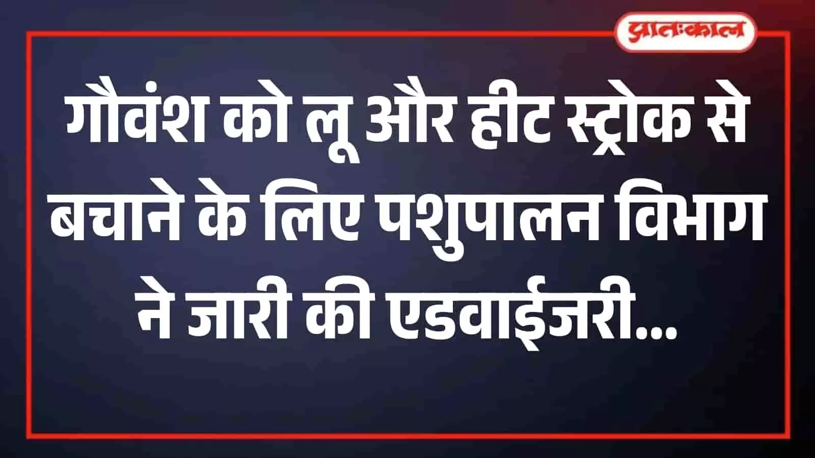 शेड के नीचे पानी पीते हुए गायों का झुंड भीषण गर्मी में गौवंश संरक्षण के संदर्भ में। शेड के नीचे पानी पीते हुए गायों का झुंड भीषण गर्मी में गौवंश संरक्षण के संदर्भ में।