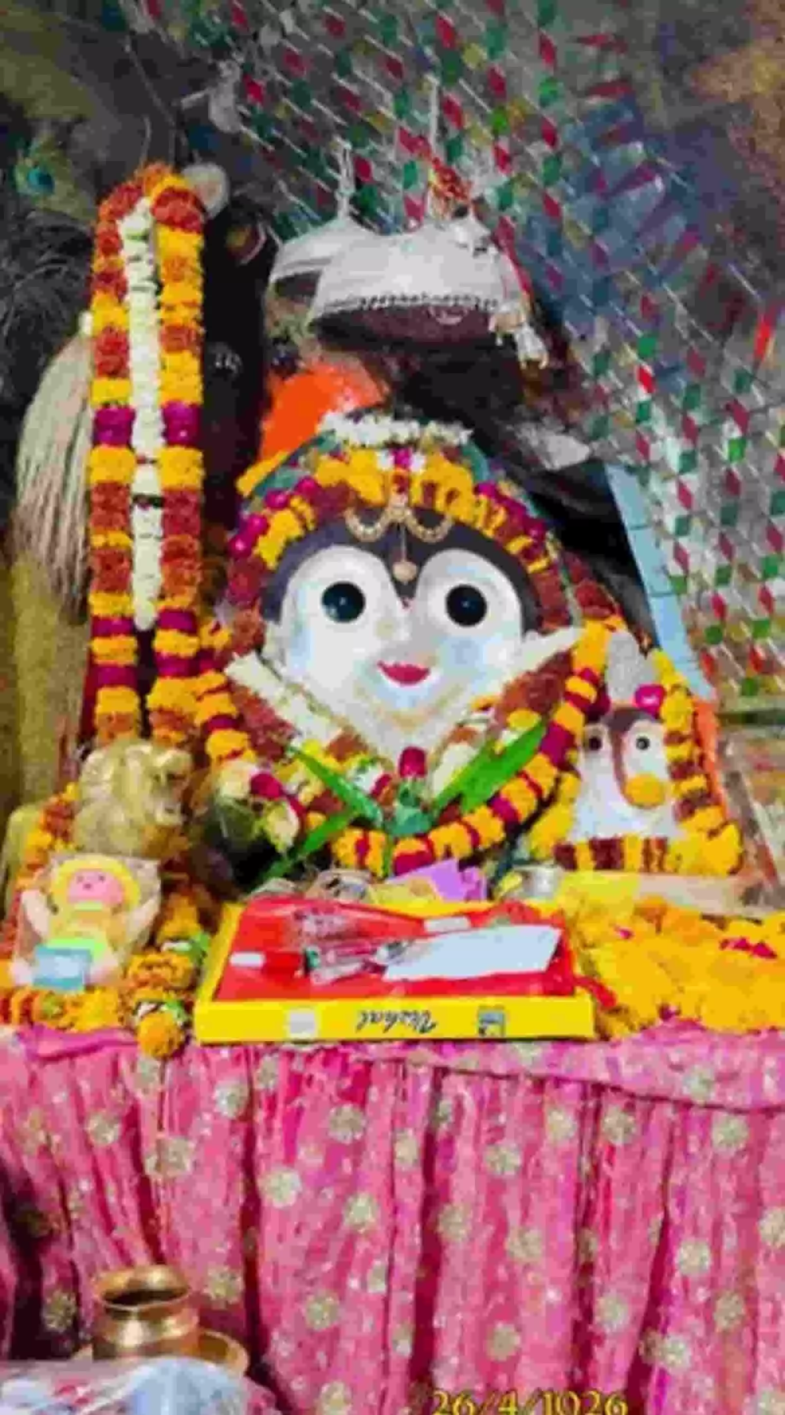 इंदरगढ़ देवी दरबार के गर्भगृह में फूलों और वस्त्रों से सजी माता रानी की प्रतिमा दिख रही है।