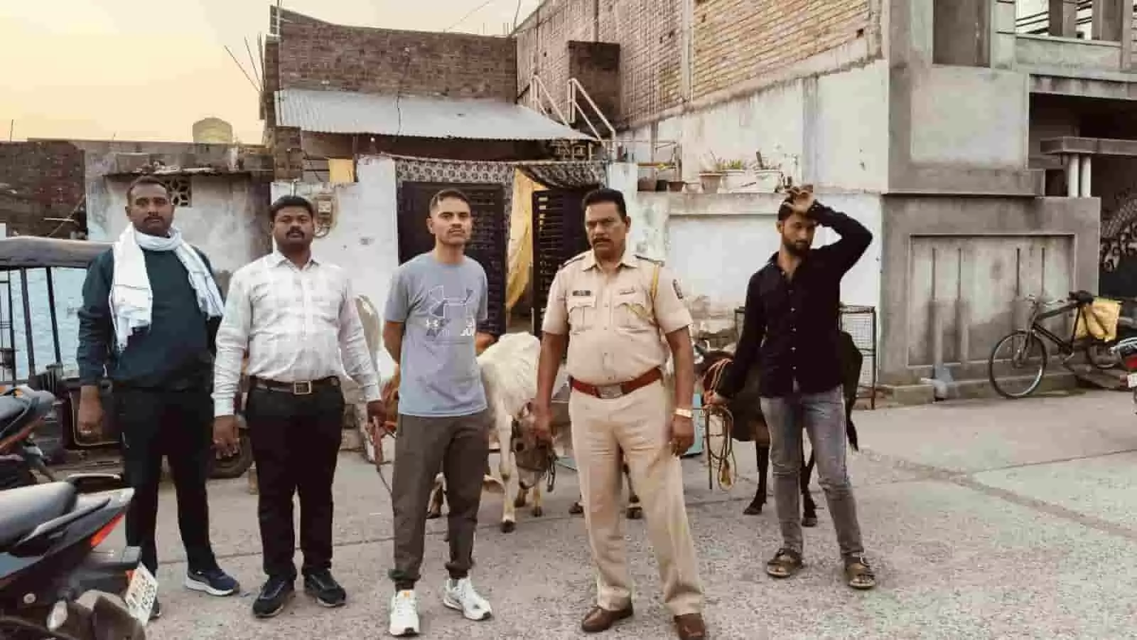 मोर्शी पुलिस ने अवैध रूप से ले जाए जा रहे 13 गोवंशों को बचाया है। मोर्शी पुलिस ने अवैध रूप से ले जाए जा रहे 13 गोवंशों को बचाया है।