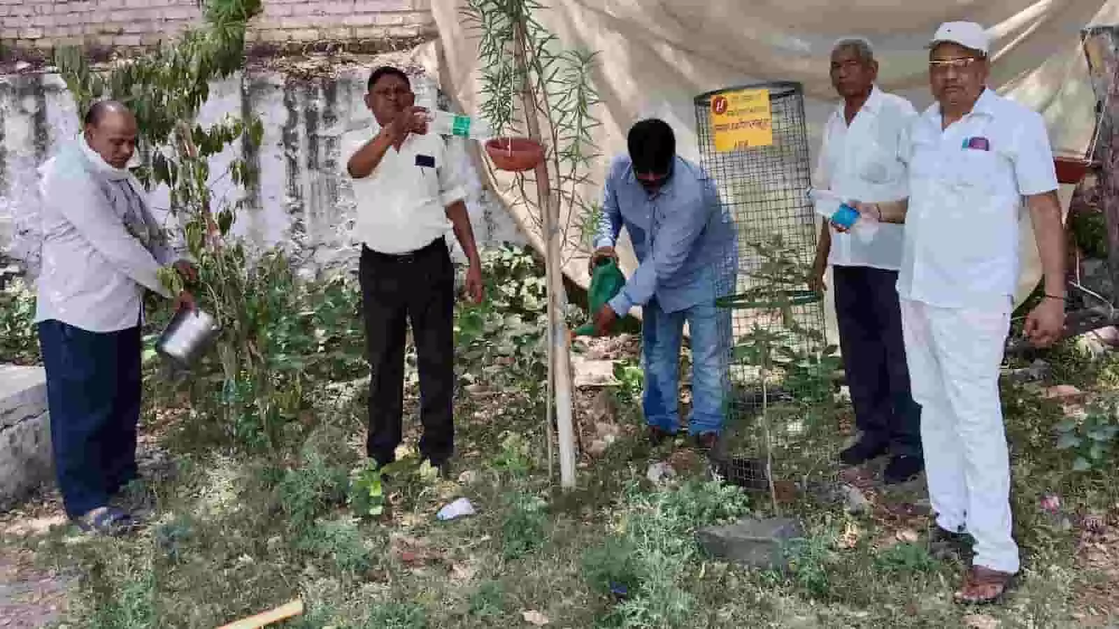भीलवाड़ा में पौधा रोपण स्थल पर पक्षियों के लिए परिंडे में पानी डालते हुए सामाजिक कार्यकर्ता। भीलवाड़ा में पौधा रोपण स्थल पर पक्षियों के लिए परिंडे में पानी डालते हुए सामाजिक कार्यकर्ता।