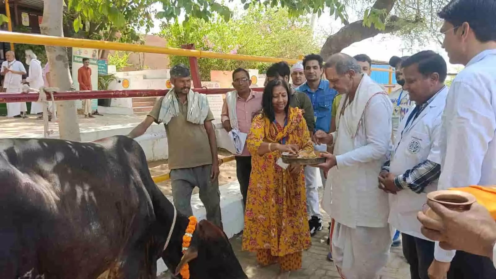जडखोर के शोध संस्थान में गाय की पूजा करते हुए उपनिदेशक डॉ. भावना यादव और अन्य अधिकारी। जडखोर के शोध संस्थान में गाय की पूजा करते हुए उपनिदेशक डॉ. भावना यादव और अन्य अधिकारी।