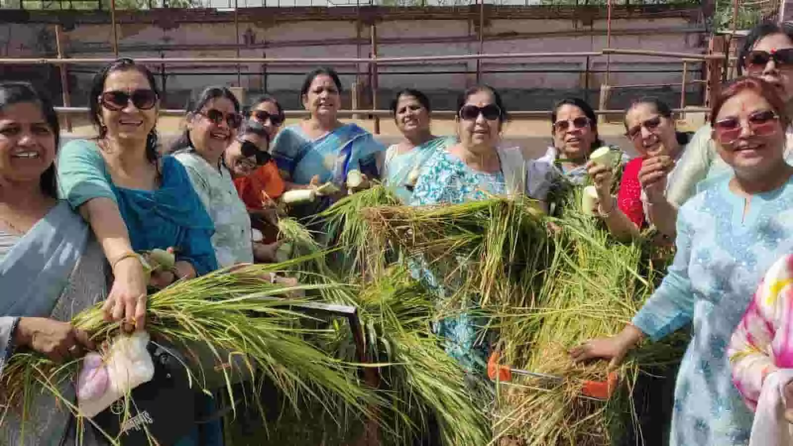 जयपुर की गौशाला में हरी घास और चारा हाथ में लिए खड़ी जैन महावीर महिला मंडल की महिलाएं। जयपुर की गौशाला में हरी घास और चारा हाथ में लिए खड़ी जैन महावीर महिला मंडल की महिलाएं।