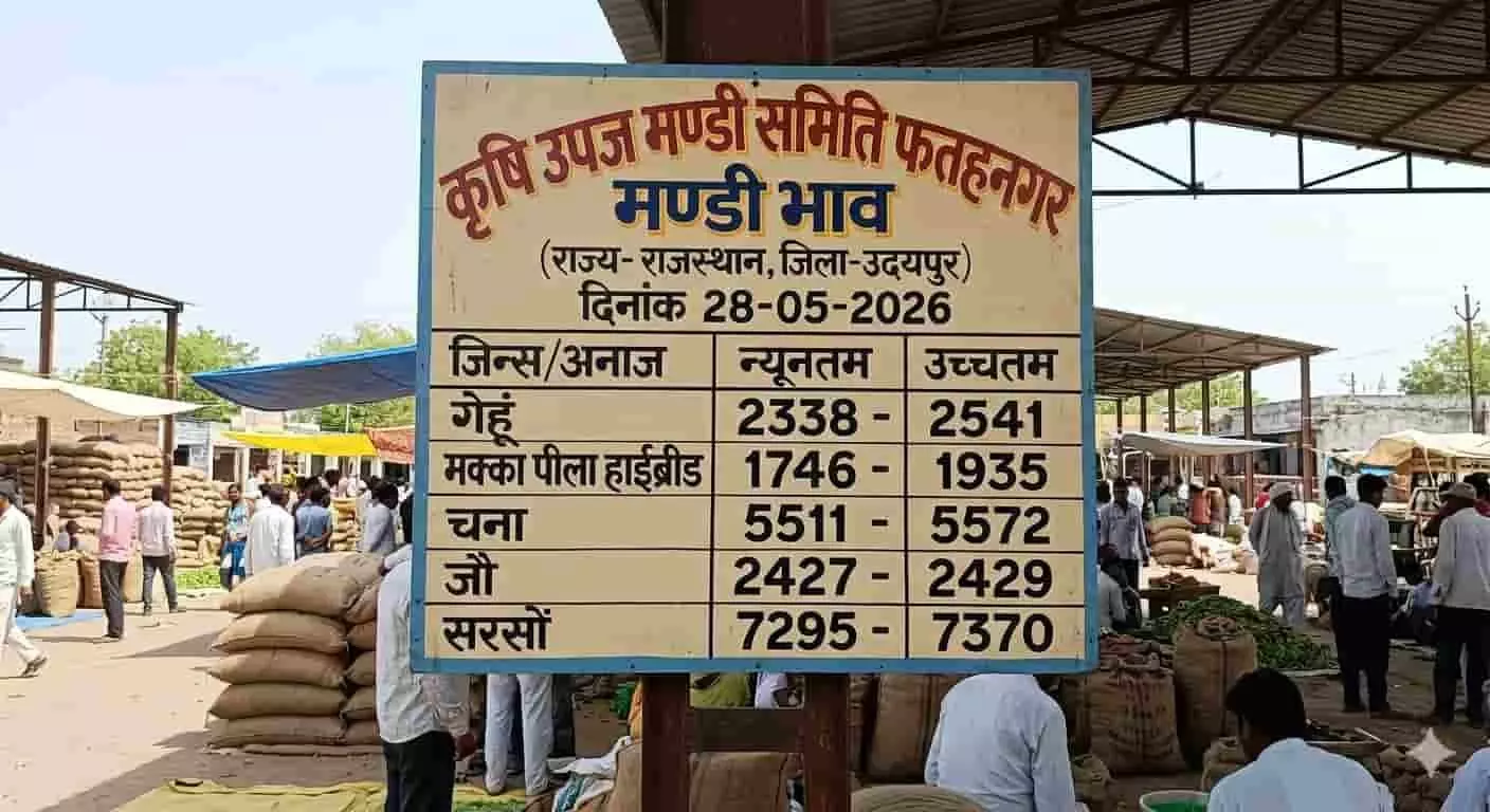 फतहनगर मण्डी बोर्ड पर विभिन्न कृषि जिंसों के आज के भाव प्रदर्शित हैं। फतहनगर मण्डी बोर्ड पर विभिन्न कृषि जिंसों के आज के भाव प्रदर्शित हैं।