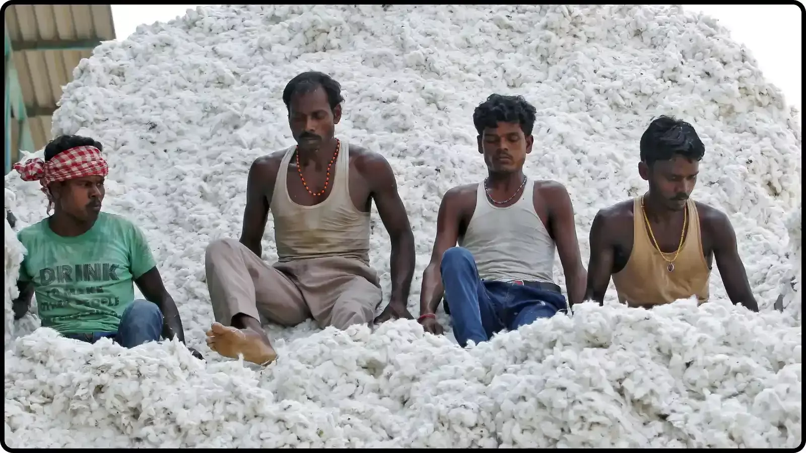 कपास के एक बड़े सफेद ढेर के ऊपर बैठे चार पुरुष श्रमिक।