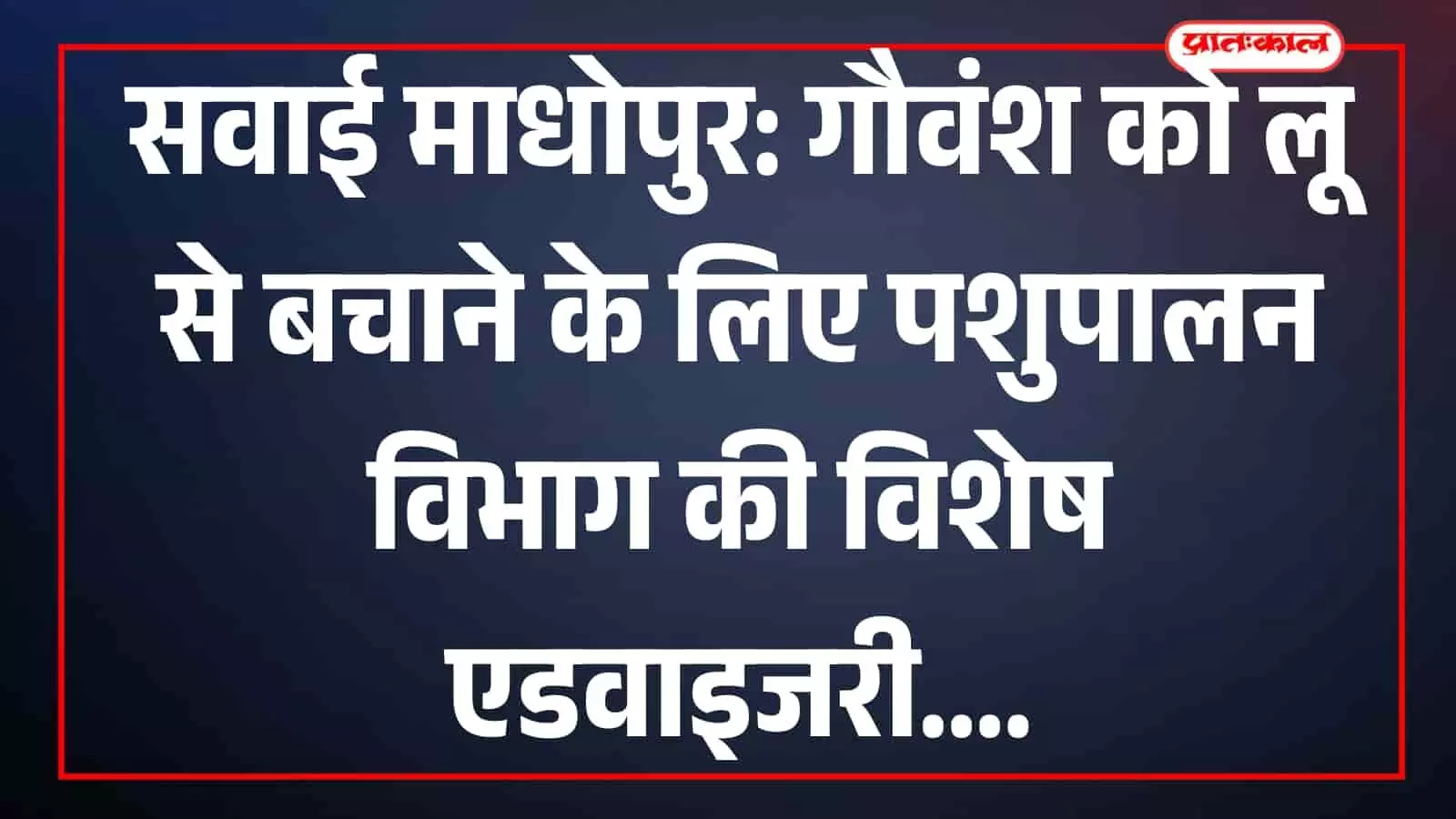 सवाई माधोपुर की गौशाला में शेड के नीचे गर्मी से सुरक्षित खड़ा गौवंश और चारा प्रबंधन। सवाई माधोपुर की गौशाला में शेड के नीचे गर्मी से सुरक्षित खड़ा गौवंश और चारा प्रबंधन।