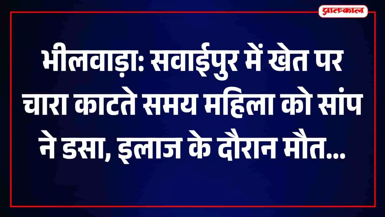 भीलवाड़ा के सवाईपुर में सांप के काटने से मृत महिला के शव को पोस्टमार्टम के बाद ले जाते परिजन और पुलिसकर्मी। भीलवाड़ा के सवाईपुर में सांप के काटने से मृत महिला के शव को पोस्टमार्टम के बाद ले जाते परिजन और पुलिसकर्मी।