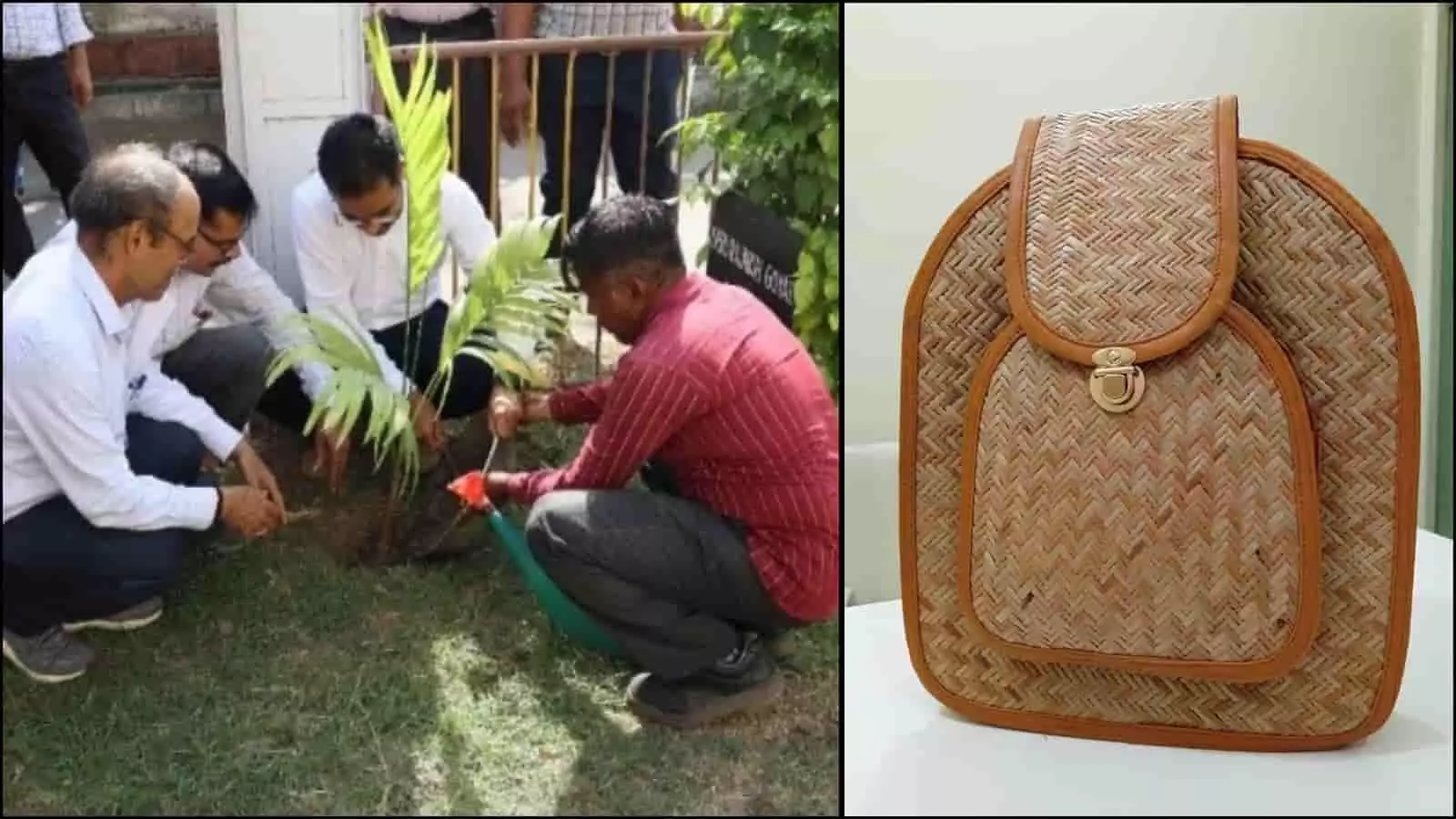 मुंबई सेंट्रल मंडल में रेलवे अधिकारियों द्वारा वृक्षारोपण और पर्यावरण जागरूकता कार्यक्रम संचालित। मुंबई सेंट्रल मंडल में रेलवे अधिकारियों द्वारा वृक्षारोपण और पर्यावरण जागरूकता कार्यक्रम संचालित।