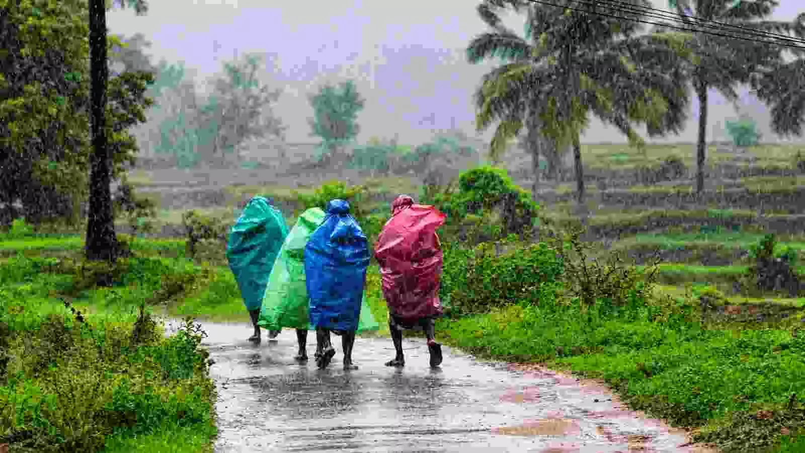 बारिश के पानी से भीगी सड़क पर रंग-बिरंगे रेनकोट पहनकर जाते हुए लोग जिनके आसपास नारियल के पेड़ और हरे-भरे खेत दिखाई दे रहे हैं। बारिश के पानी से भीगी सड़क पर रंग-बिरंगे रेनकोट पहनकर जाते हुए लोग जिनके आसपास नारियल के पेड़ और हरे-भरे खेत दिखाई दे रहे हैं।