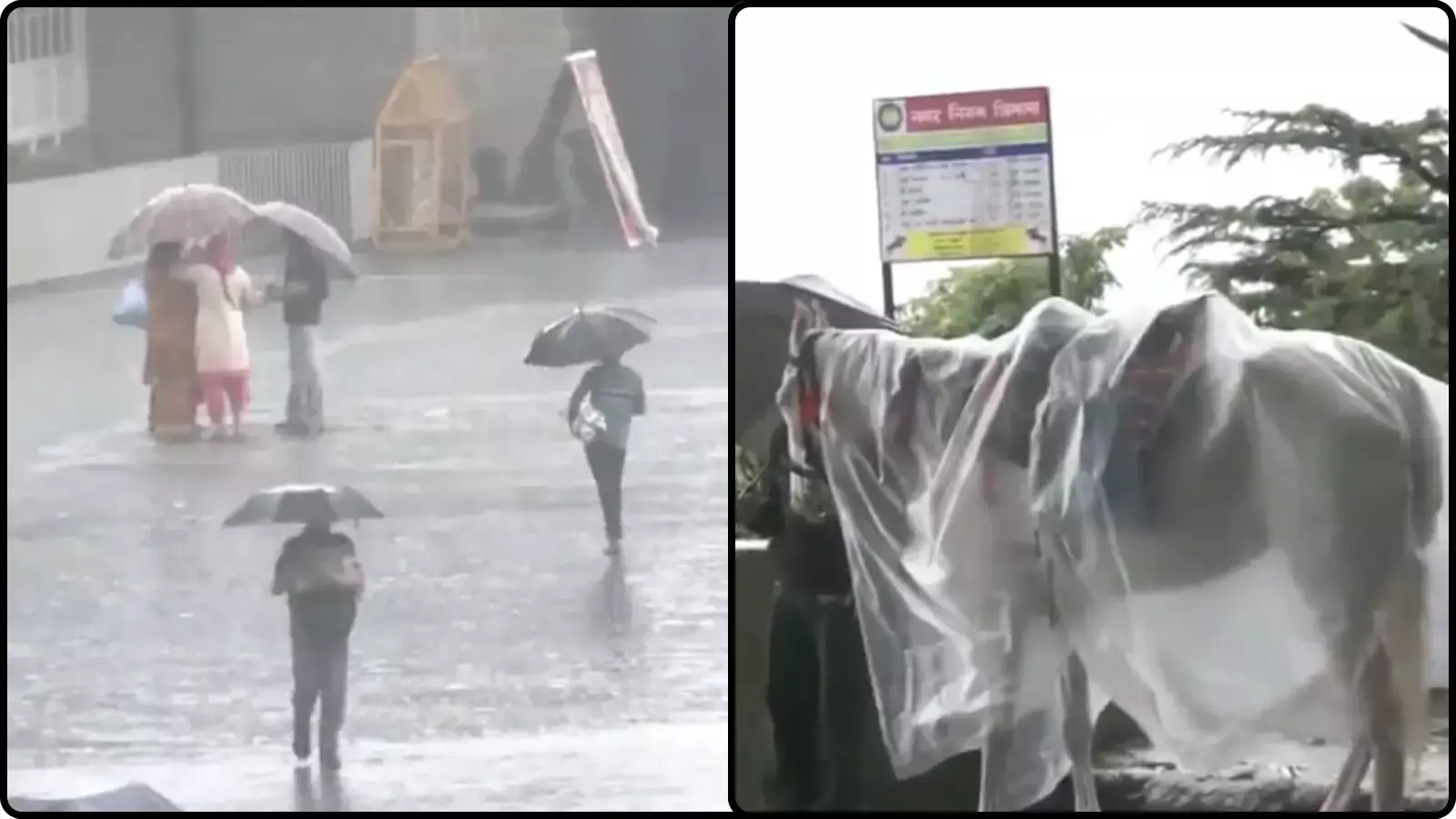 IMD अलर्ट के बीच शिमला में हिमाचल आफत ; शिमला में बारिश-ओलों से हालात बिगड़े