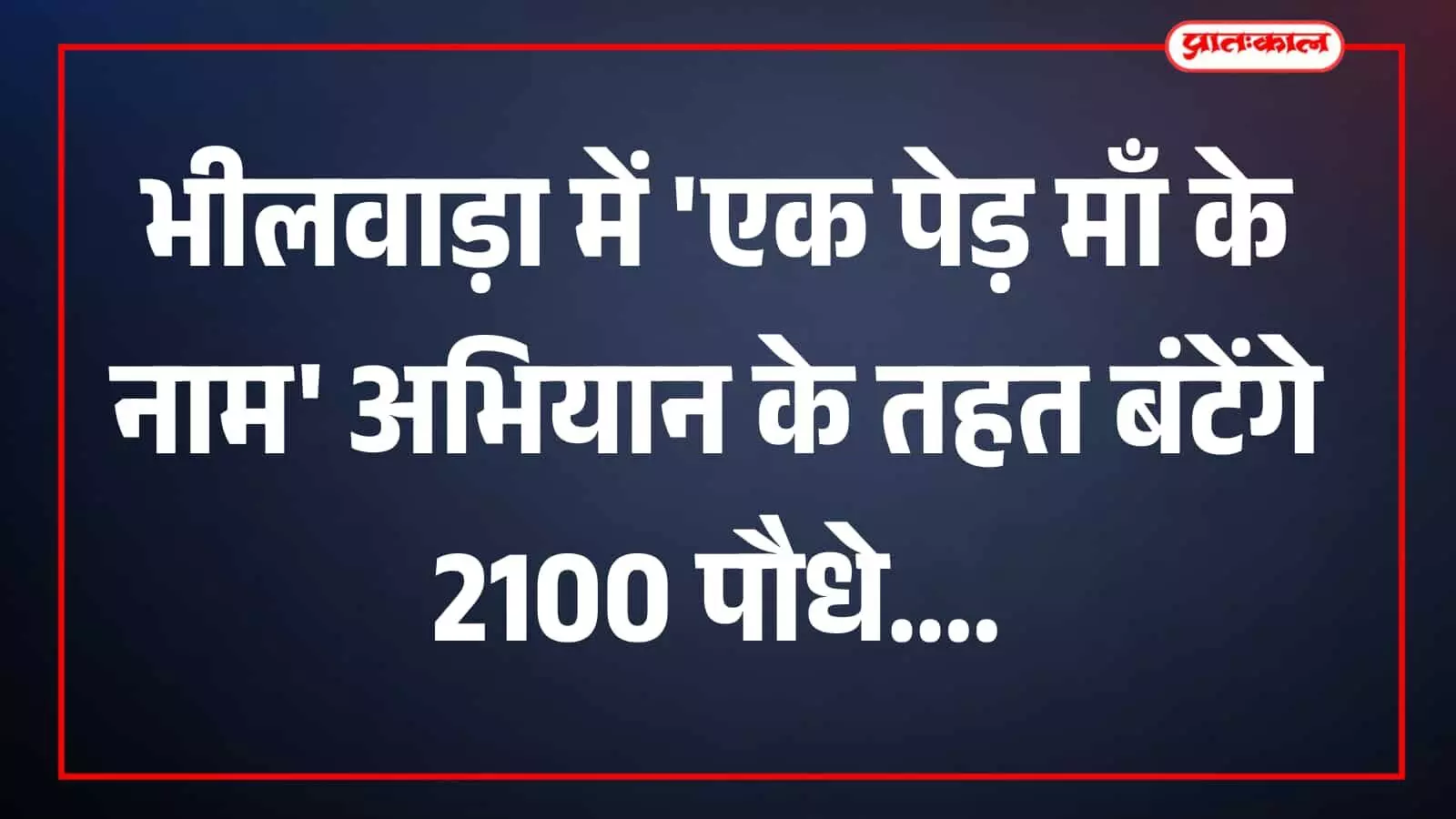 भीलवाड़ा के सूचना केंद्र चौराहा पर एक पेड़ माँ के नाम अभियान के तहत रखे गए फलदार और छायादार पौधे। भीलवाड़ा के सूचना केंद्र चौराहा पर एक पेड़ माँ के नाम अभियान के तहत रखे गए फलदार और छायादार पौधे।