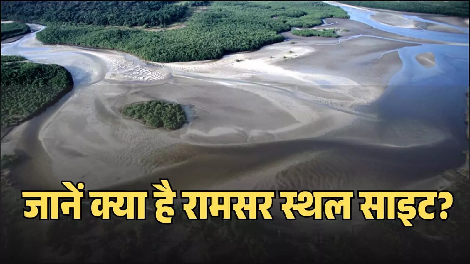 सुंदरवन डेल्टा का हवाई दृश्य जहां मैंग्रोव वन और नदी के जलक्षेत्र को दर्शाया गया है।