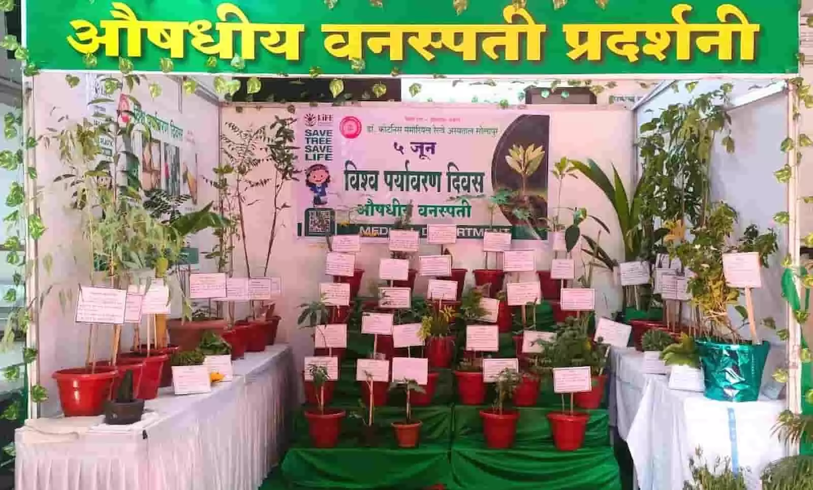 तस्वीर में सोलापुर के डॉ. कोटनीस रेलवे अस्पताल में प्रदर्शित औषधीय पौधे दिख रहे हैं। तस्वीर में सोलापुर के डॉ. कोटनीस रेलवे अस्पताल में प्रदर्शित औषधीय पौधे दिख रहे हैं।