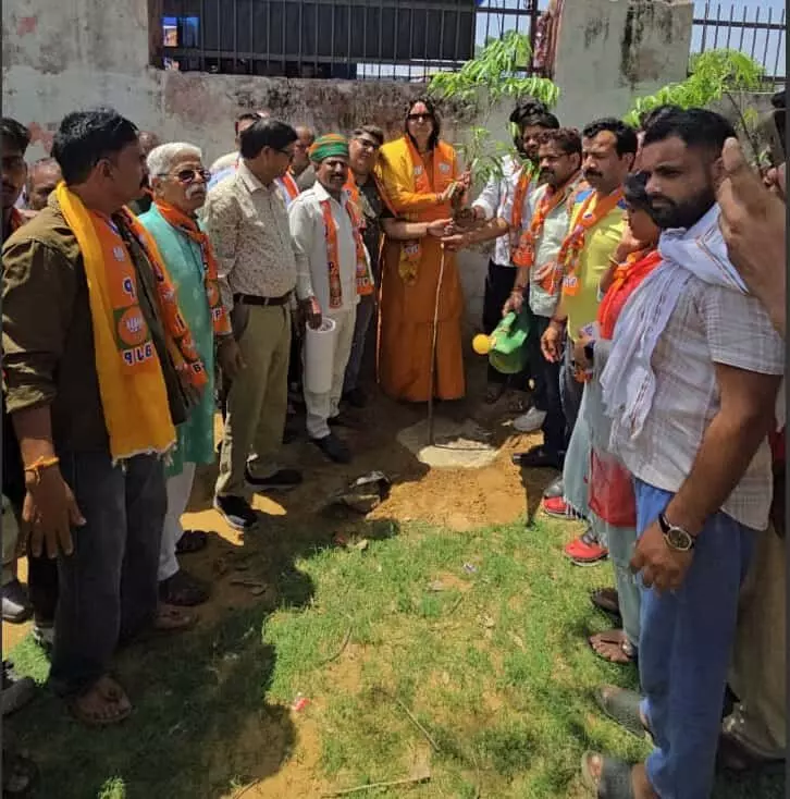 हवामहल विधायक स्वामी बालमुकुंदाचार्य महाराज जयपुर में वृक्षारोपण करते हुए और पर्यावरण संरक्षण का संदेश देते हुए।