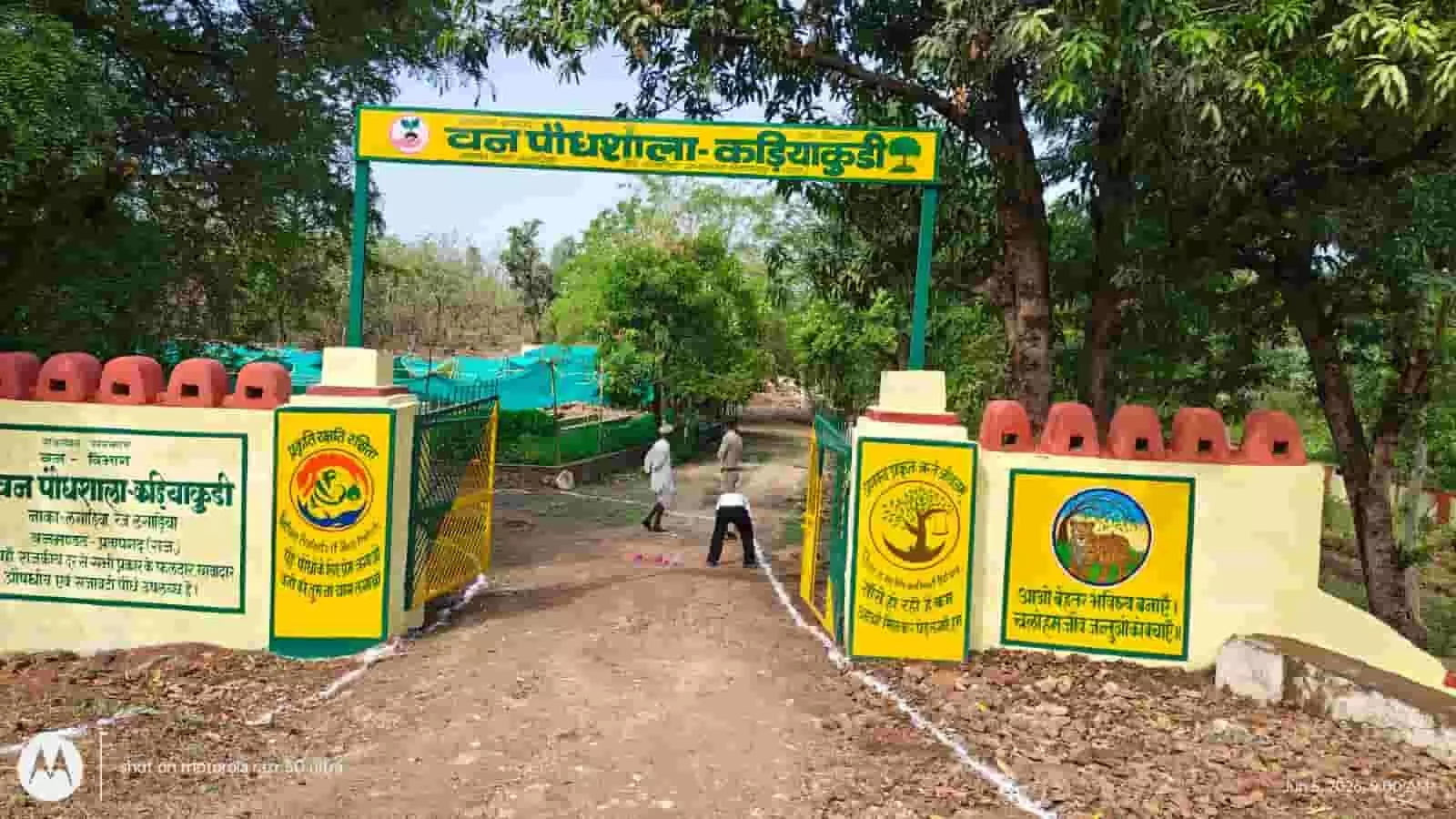 कड़ियाकुड़ी नर्सरी लसाड़िया में हरियालो राजस्थान अभियान के अंतर्गत पौधारोपण की तैयारी दिख रही है। कड़ियाकुड़ी नर्सरी लसाड़िया में हरियालो राजस्थान अभियान के अंतर्गत पौधारोपण की तैयारी दिख रही है।