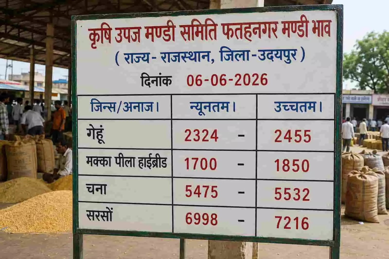 तस्वीर में फतहनगर मंडी में आज विभिन्न अनाजों के न्यूनतम और अधिकतम भावों की सूची दिख रही है। तस्वीर में फतहनगर मंडी में आज विभिन्न अनाजों के न्यूनतम और अधिकतम भावों की सूची दिख रही है।