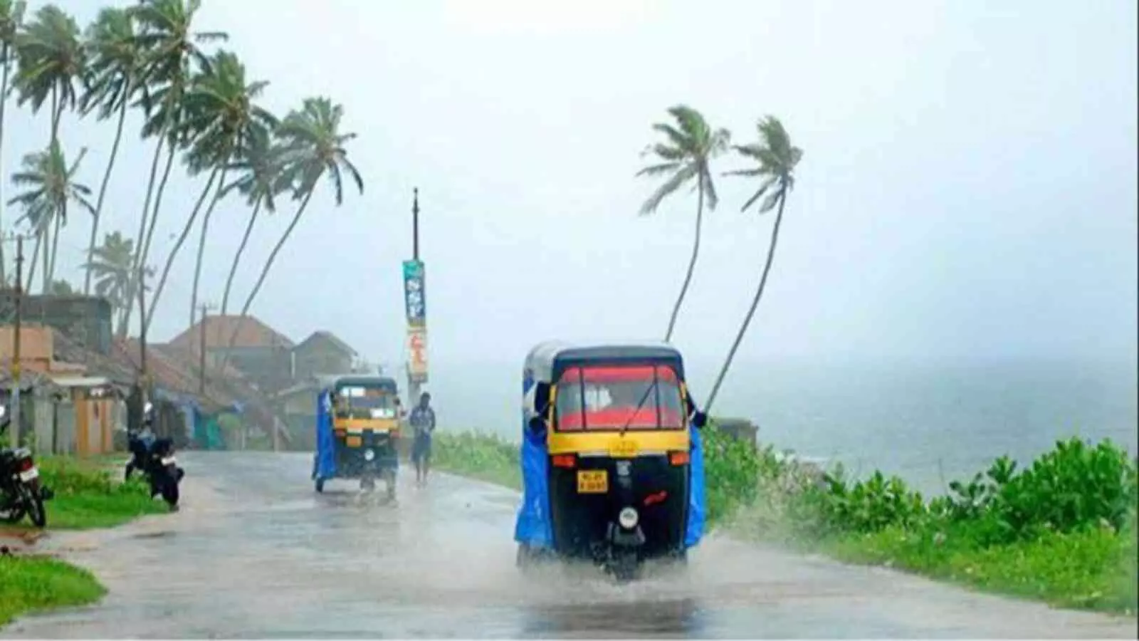 तटीय सड़क पर मूसलाधार बारिश के बीच चलते हुए ऑटो रिक्शा और हवा में लहराते पेड़।