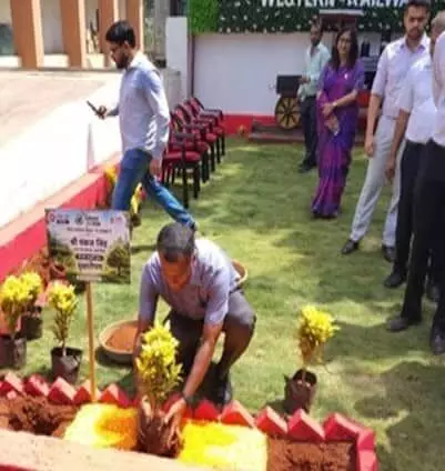 मुंबई सेंट्रल में रेल अधिकारियों के साथ वृक्षारोपण करते मंडल रेल प्रबंधक श्री पंकज सिंह। मुंबई सेंट्रल में रेल अधिकारियों के साथ वृक्षारोपण करते मंडल रेल प्रबंधक श्री पंकज सिंह।