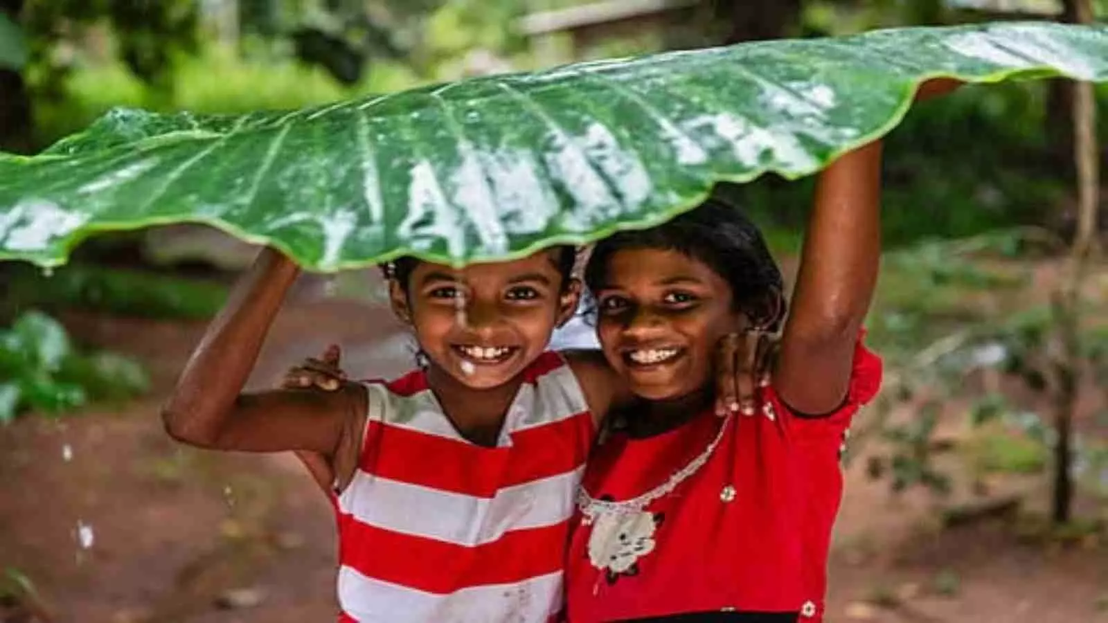 बारिश के पानी से बचने के लिए सिर पर बड़ा हरा पत्ता पकड़े मुस्कुराती दो लड़कियां। बारिश के पानी से बचने के लिए सिर पर बड़ा हरा पत्ता पकड़े मुस्कुराती दो लड़कियां।
