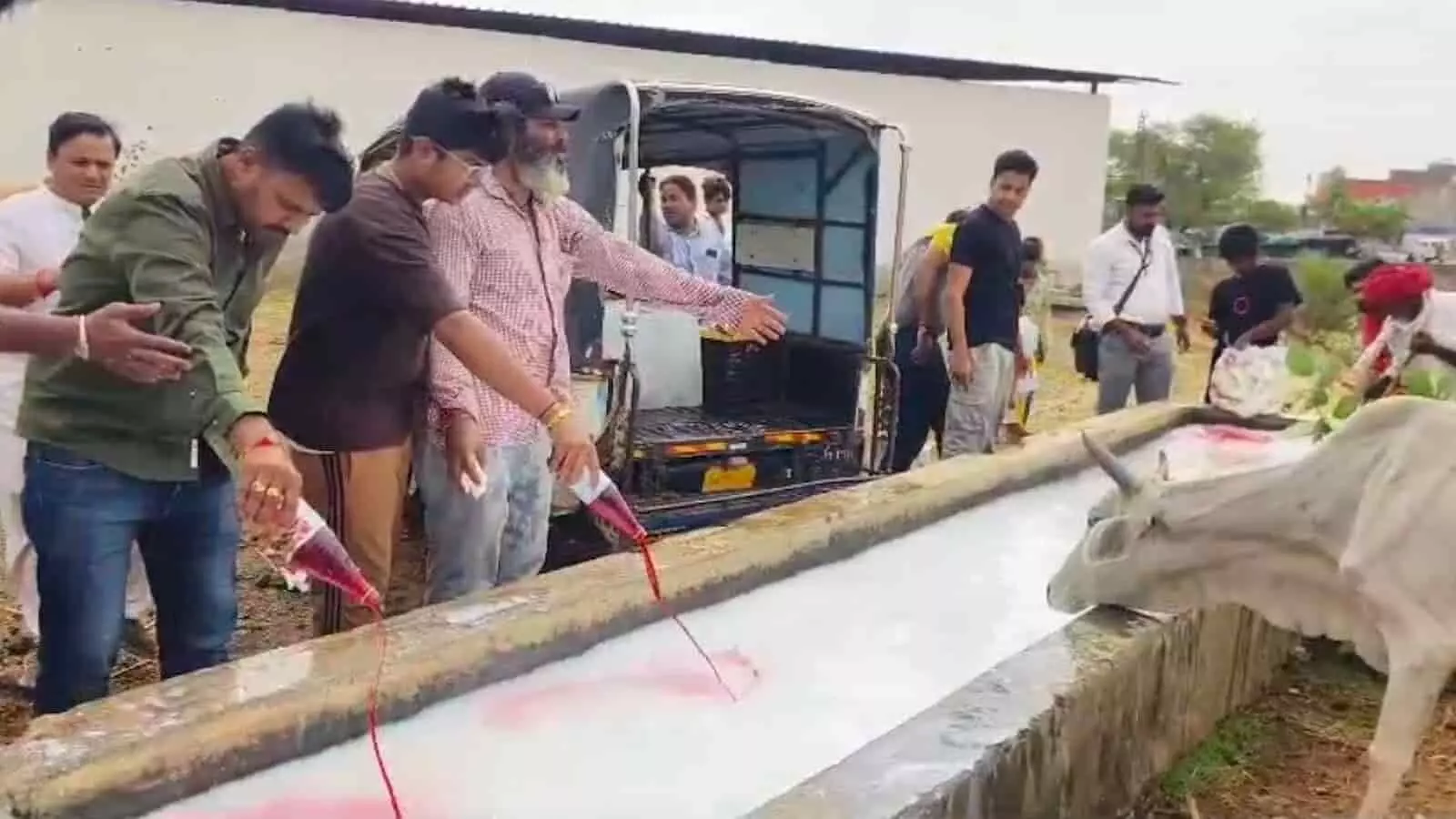 तस्वीर में एक लंबी चरही के पास खड़े होकर बोतलों से लाल रंग का शर्बत मिलाते लोग तथा पास खड़ी एक गाय पुरुषोत्तम मास में बेजुबान पशुओं की सेवा और मानवीय संवेदना के संदर्भ में दिख रहे हैं। तस्वीर में एक लंबी चरही के पास खड़े होकर बोतलों से लाल रंग का शर्बत मिलाते लोग तथा पास खड़ी एक गाय पुरुषोत्तम मास में बेजुबान पशुओं की सेवा और मानवीय संवेदना के संदर्भ में दिख रहे हैं।