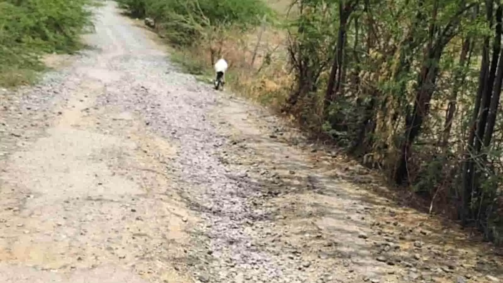 तस्वीर में एक सुनसान ग्रामीण इलाका दिख रहा है जहां की पक्की सड़क पूरी तरह से टूट चुकी है और उस पर हर तरफ सिर्फ गिट्टियां बिखरी पड़ी हैं। तस्वीर में एक सुनसान ग्रामीण इलाका दिख रहा है जहां की पक्की सड़क पूरी तरह से टूट चुकी है और उस पर हर तरफ सिर्फ गिट्टियां बिखरी पड़ी हैं।