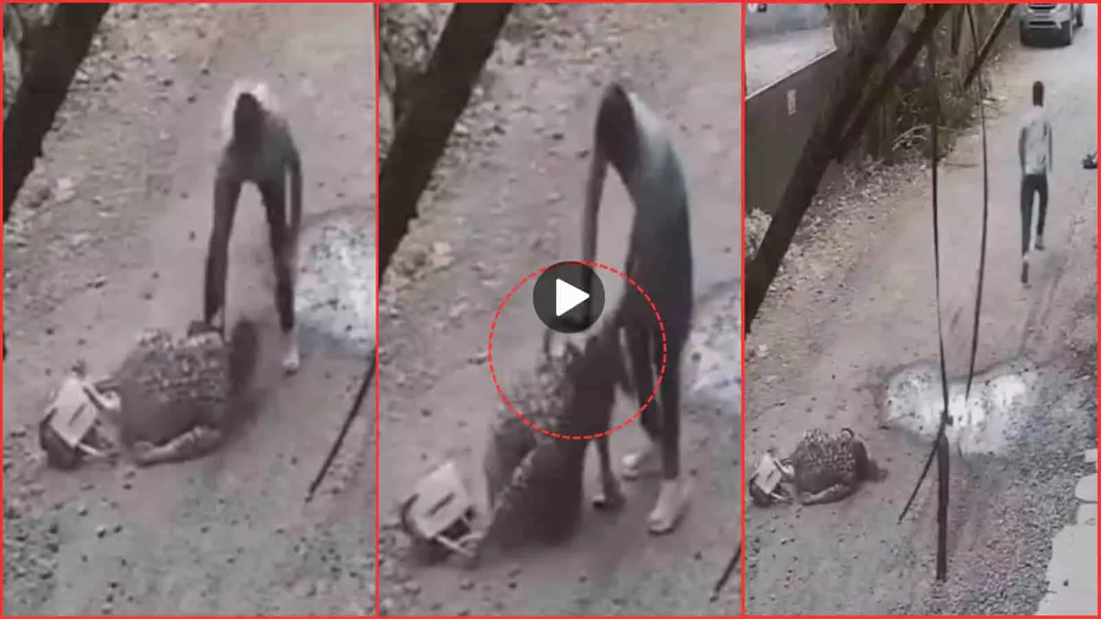 वन साइडेड लव में पागल हुआ अमोल मुले, पालघर में कलेक्टर ऑफिस की क्लर्क को तीखे हथियार से काटा...