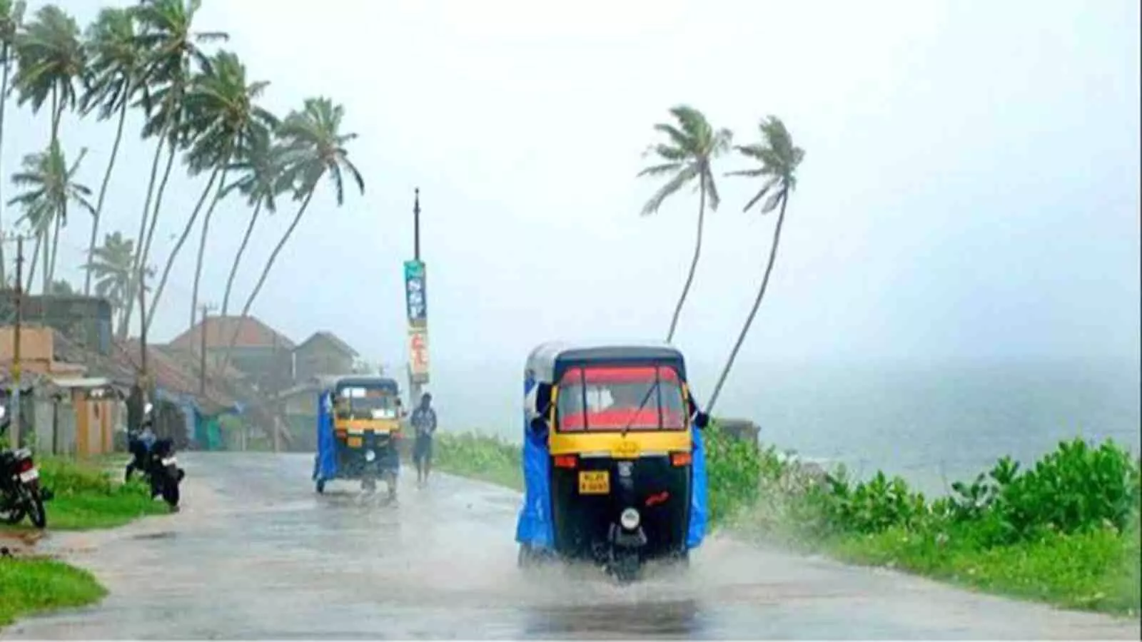 समुद्र किनारे नारियल के पेड़ों के पास बारिश के पानी से भरी सड़क पर चलते ऑटो रिक्शा| समुद्र किनारे नारियल के पेड़ों के पास बारिश के पानी से भरी सड़क पर चलते ऑटो रिक्शा|