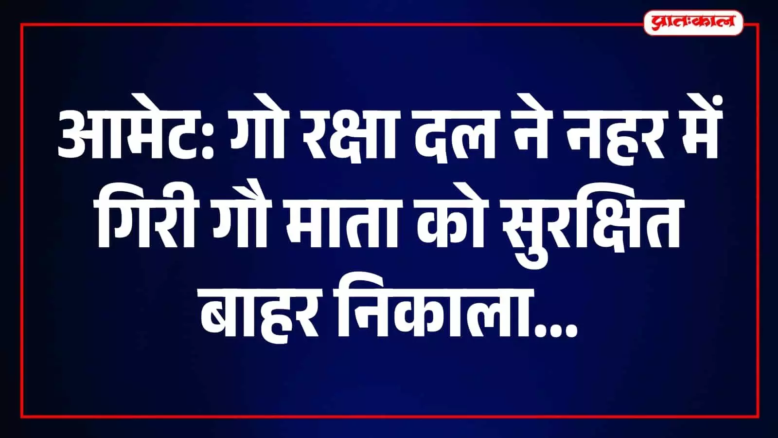 आमेट में नहर में फंसी गाय को बाहर निकालते गो रक्षा दल के सदस्य। आमेट में नहर में फंसी गाय को बाहर निकालते गो रक्षा दल के सदस्य।