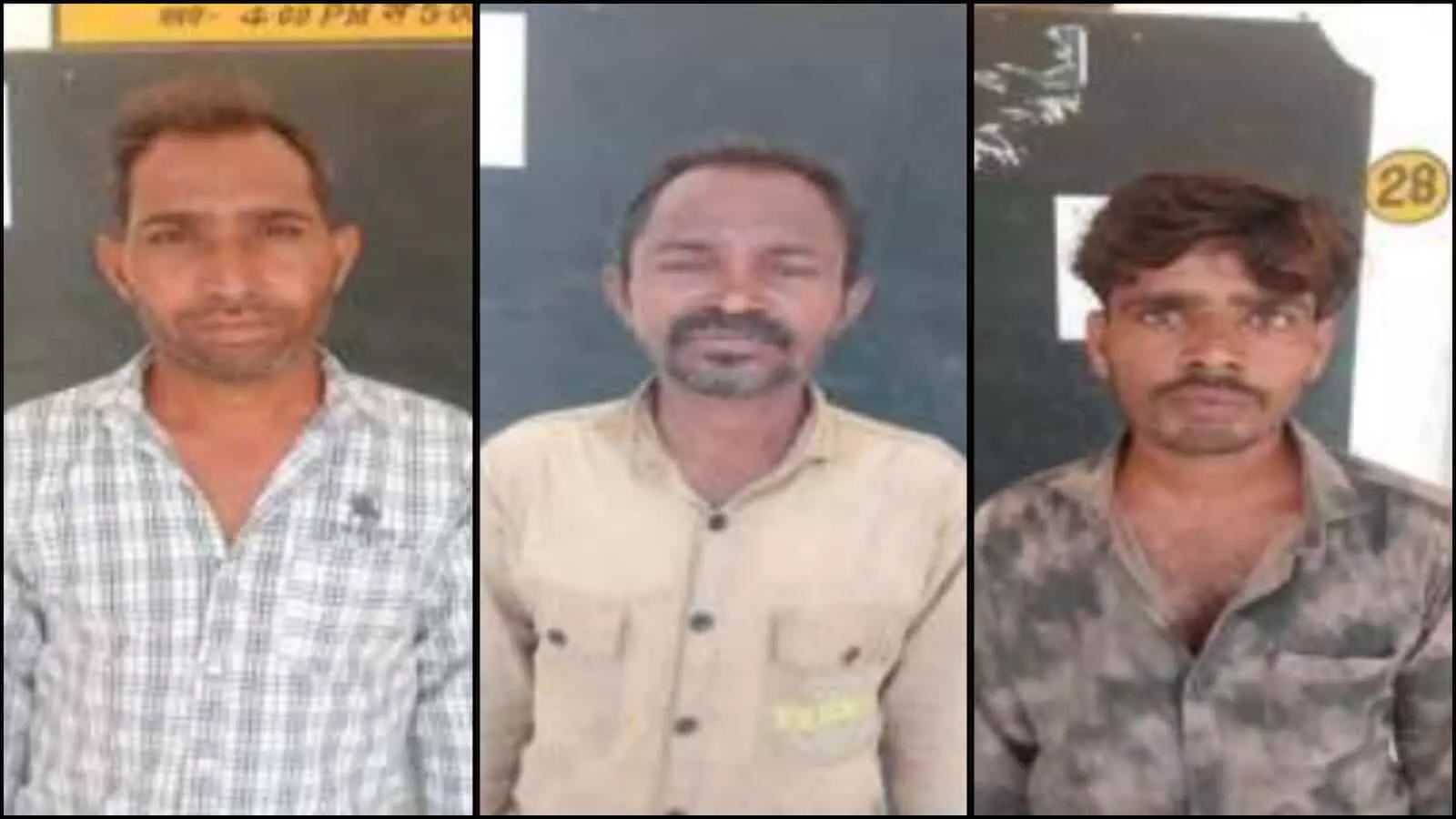 तस्वीर में सवाई माधोपुर पुलिस द्वारा मानटाउन थाना क्षेत्र में गिरफ्तार किए गए आरोपी दिख रहे हैं। तस्वीर में सवाई माधोपुर पुलिस द्वारा मानटाउन थाना क्षेत्र में गिरफ्तार किए गए आरोपी दिख रहे हैं।