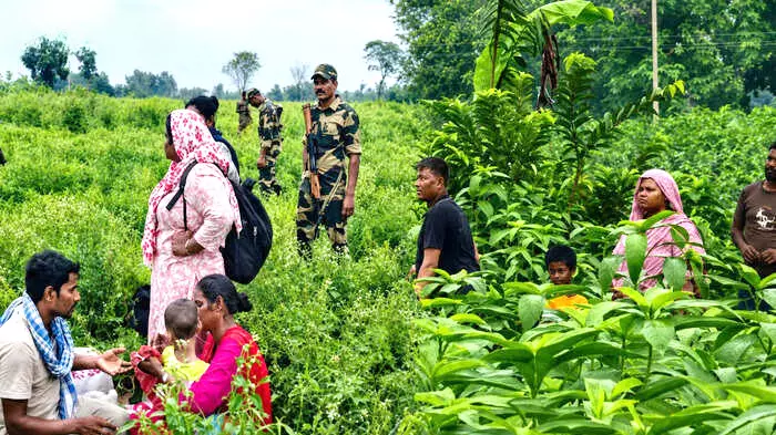 रानीनगर बॉर्डर के धान के खेत में फंसे 12 लोग और सीमा सुरक्षा बल जवान। रानीनगर बॉर्डर के धान के खेत में फंसे 12 लोग और सीमा सुरक्षा बल जवान।