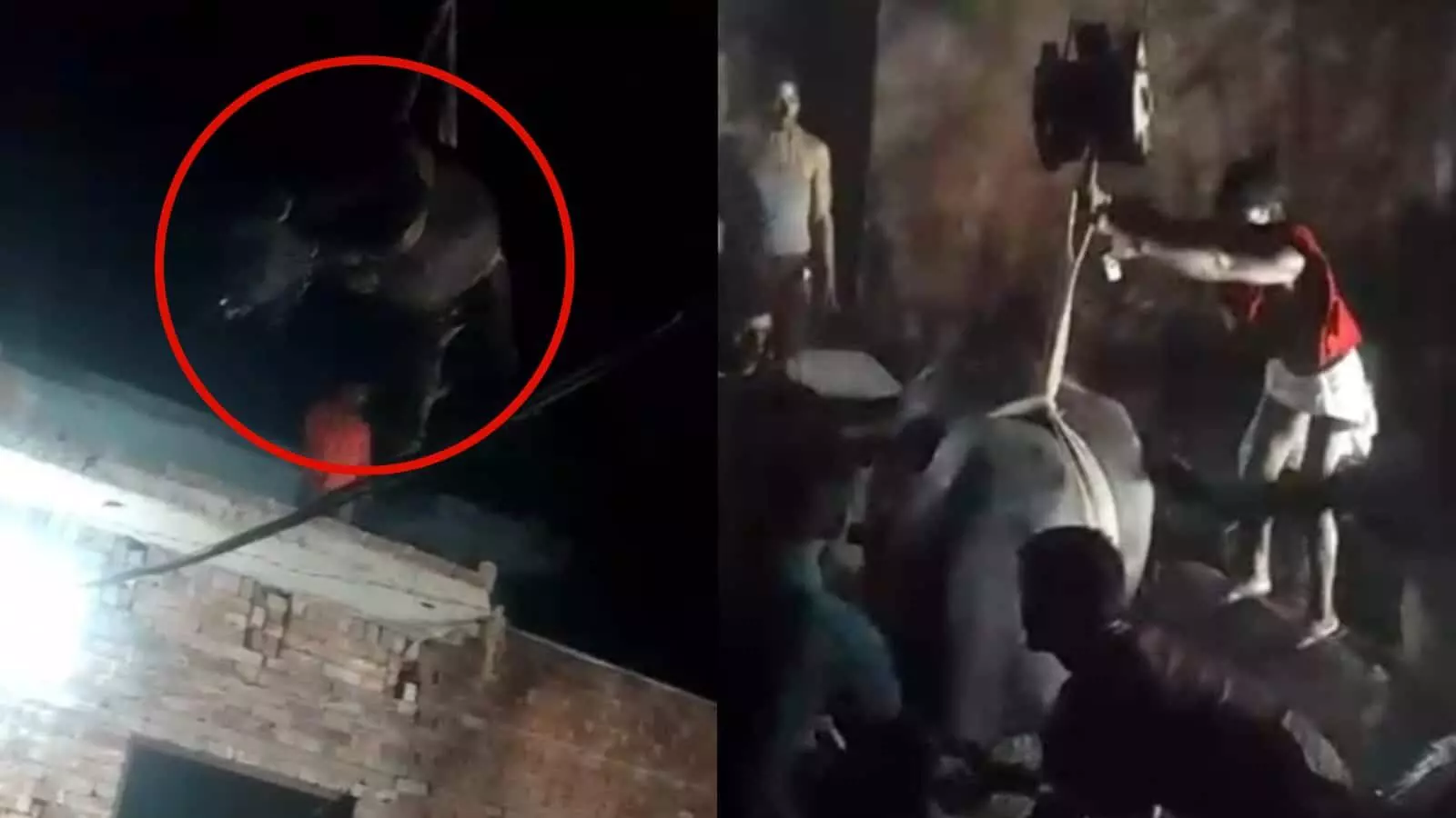 तस्वीर में क्रेन की मदद से एटा के गांव में छत से उतारी जा रही भैंस। तस्वीर में क्रेन की मदद से एटा के गांव में छत से उतारी जा रही भैंस।