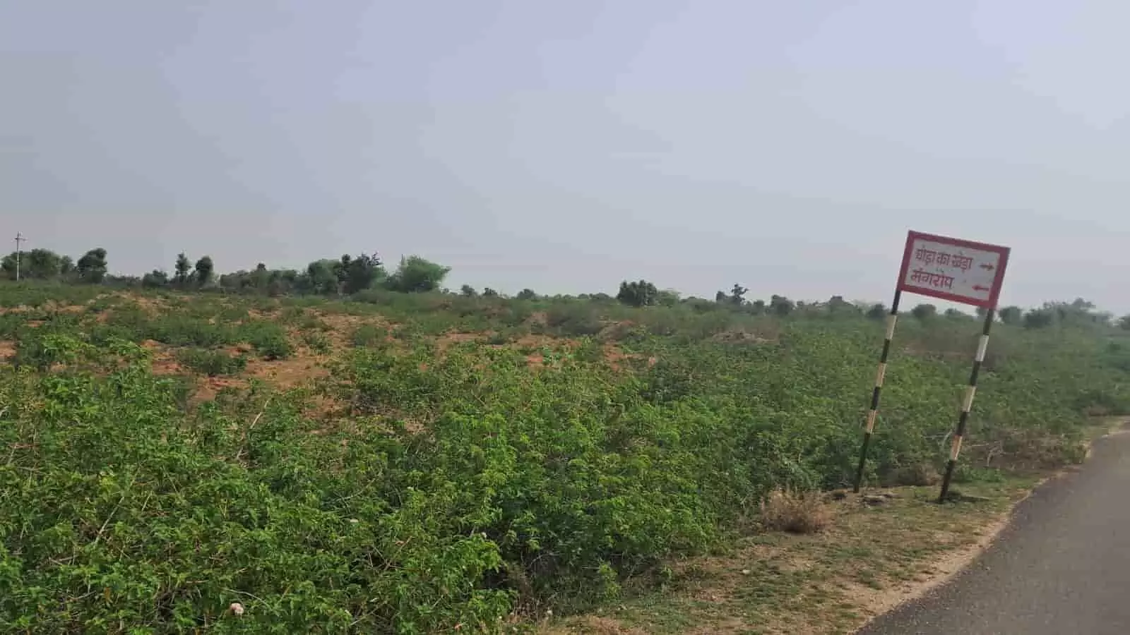 अजमेर भीलवाड़ा हाईवे के किनारे माण्डल क्षेत्र में घोड़ा का खेड़ा और मंगरोप की ओर इशारा करता दिशा सूचक बोर्ड दिख रहा है। अजमेर भीलवाड़ा हाईवे के किनारे माण्डल क्षेत्र में घोड़ा का खेड़ा और मंगरोप की ओर इशारा करता दिशा सूचक बोर्ड दिख रहा है।