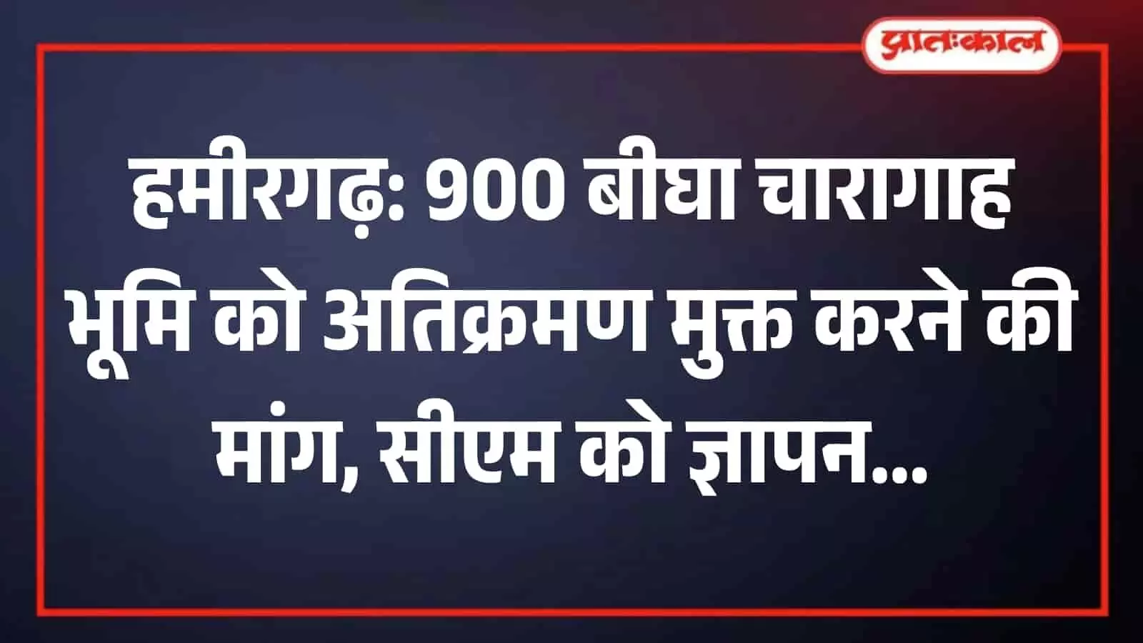 हमीरगढ़ उपखंड क्षेत्र में फैली हुई विस्तृत चारागाह भूमि और उस पर उगी जंगली झाड़ियां। हमीरगढ़ उपखंड क्षेत्र में फैली हुई विस्तृत चारागाह भूमि और उस पर उगी जंगली झाड़ियां।