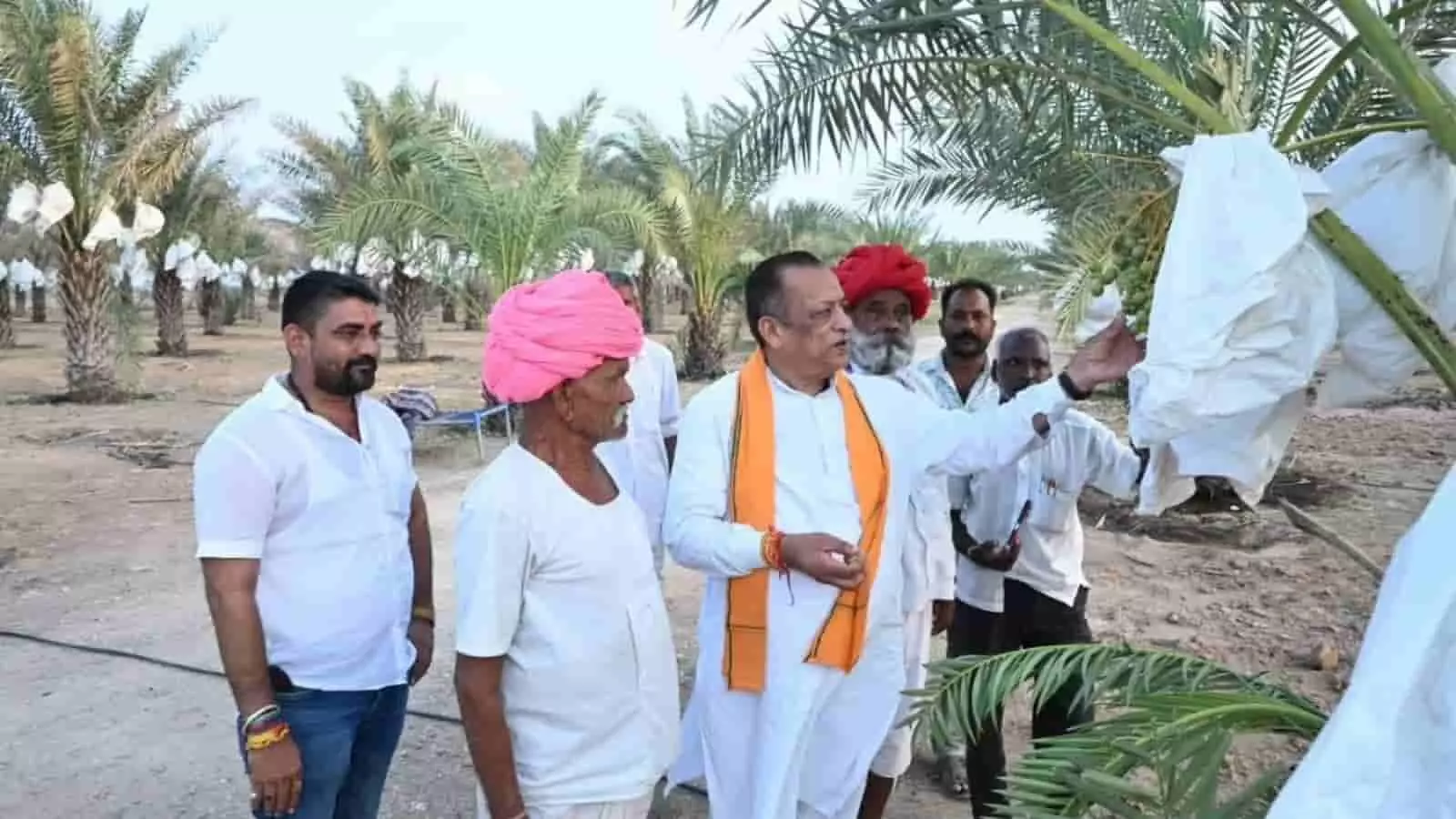तस्वीर में मंत्री जोराराम कुमावत खैरोफड़ा में किसान के खजूर बाग का निरीक्षण कर रहे हैं। तस्वीर में मंत्री जोराराम कुमावत खैरोफड़ा में किसान के खजूर बाग का निरीक्षण कर रहे हैं।