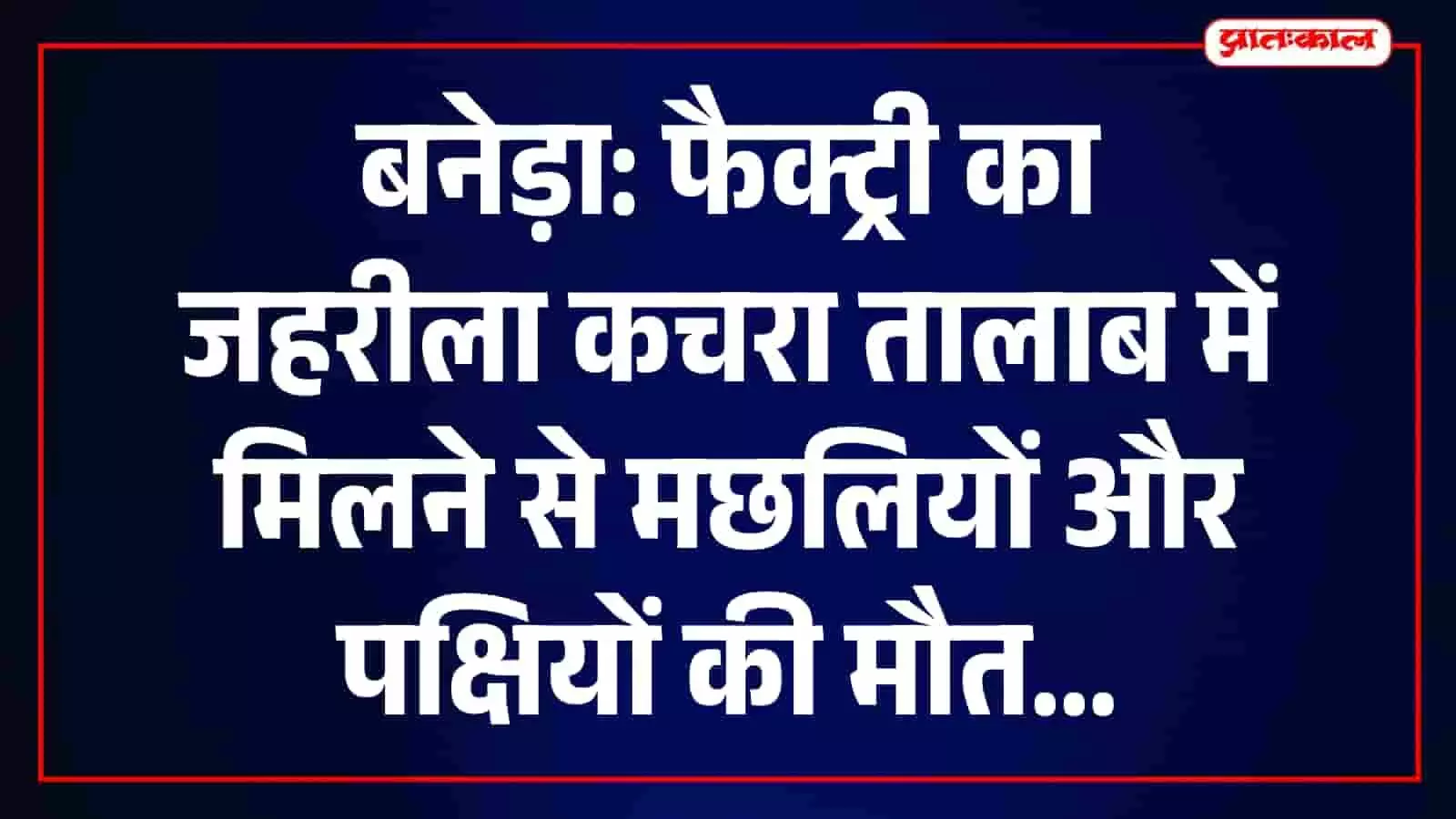 भीलवाड़ा के जसवंतपुरा में फैक्ट्री का जहरीला कचरा तालाब में मिलने से मृत वन्यजीव और मछलियां। भीलवाड़ा के जसवंतपुरा में फैक्ट्री का जहरीला कचरा तालाब में मिलने से मृत वन्यजीव और मछलियां।