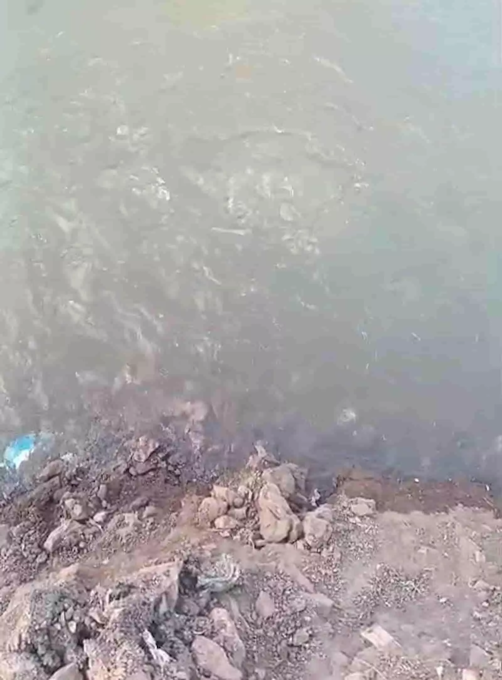 तस्वीर में वाशिम के कालेफैल में खुदाई के दौरान क्षतिग्रस्त पाइपलाइन से बहता पानी दिख रहा है। तस्वीर में वाशिम के कालेफैल में खुदाई के दौरान क्षतिग्रस्त पाइपलाइन से बहता पानी दिख रहा है।