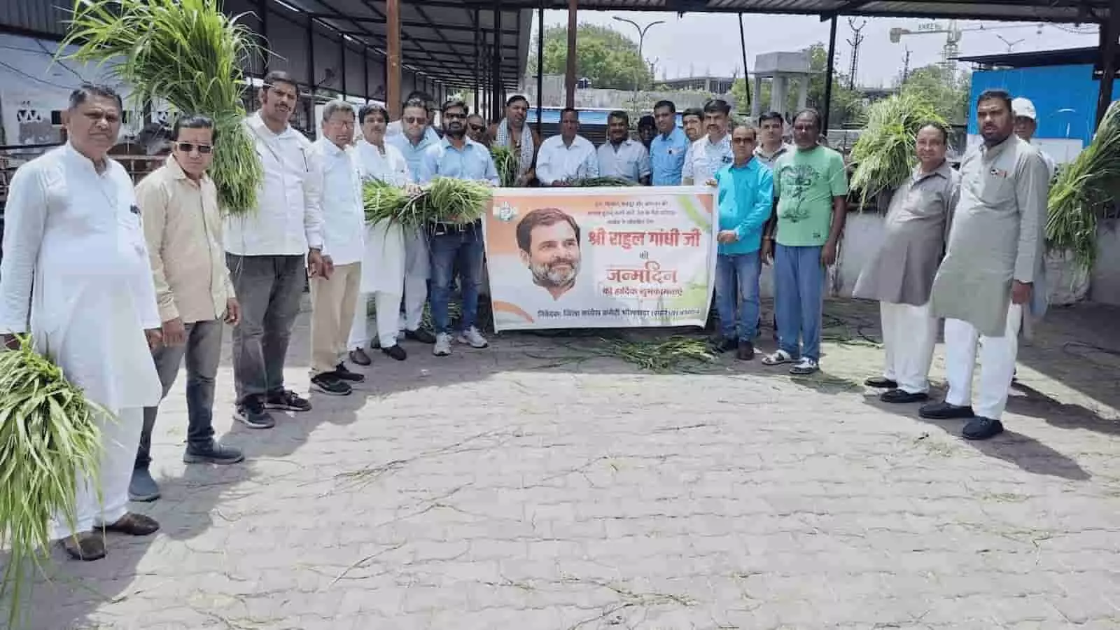 भीलवाड़ा में राहुल गांधी के जन्मदिवस पर रामधाम गौशाला में सेवा करते कांग्रेस कार्यकर्ता। भीलवाड़ा में राहुल गांधी के जन्मदिवस पर रामधाम गौशाला में सेवा करते कांग्रेस कार्यकर्ता।